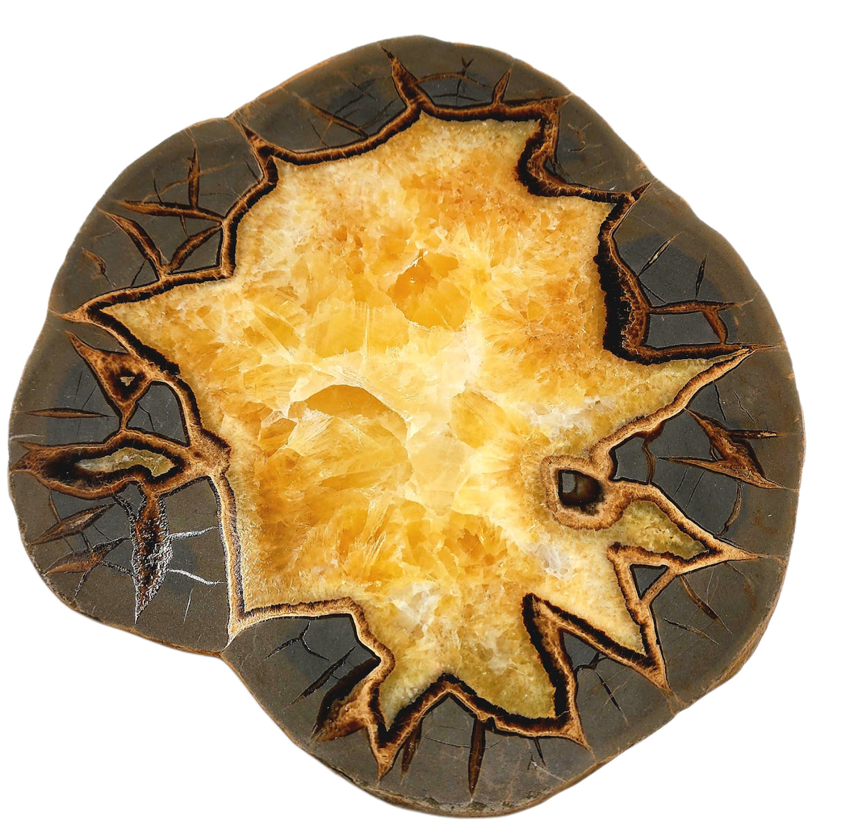 Septarian