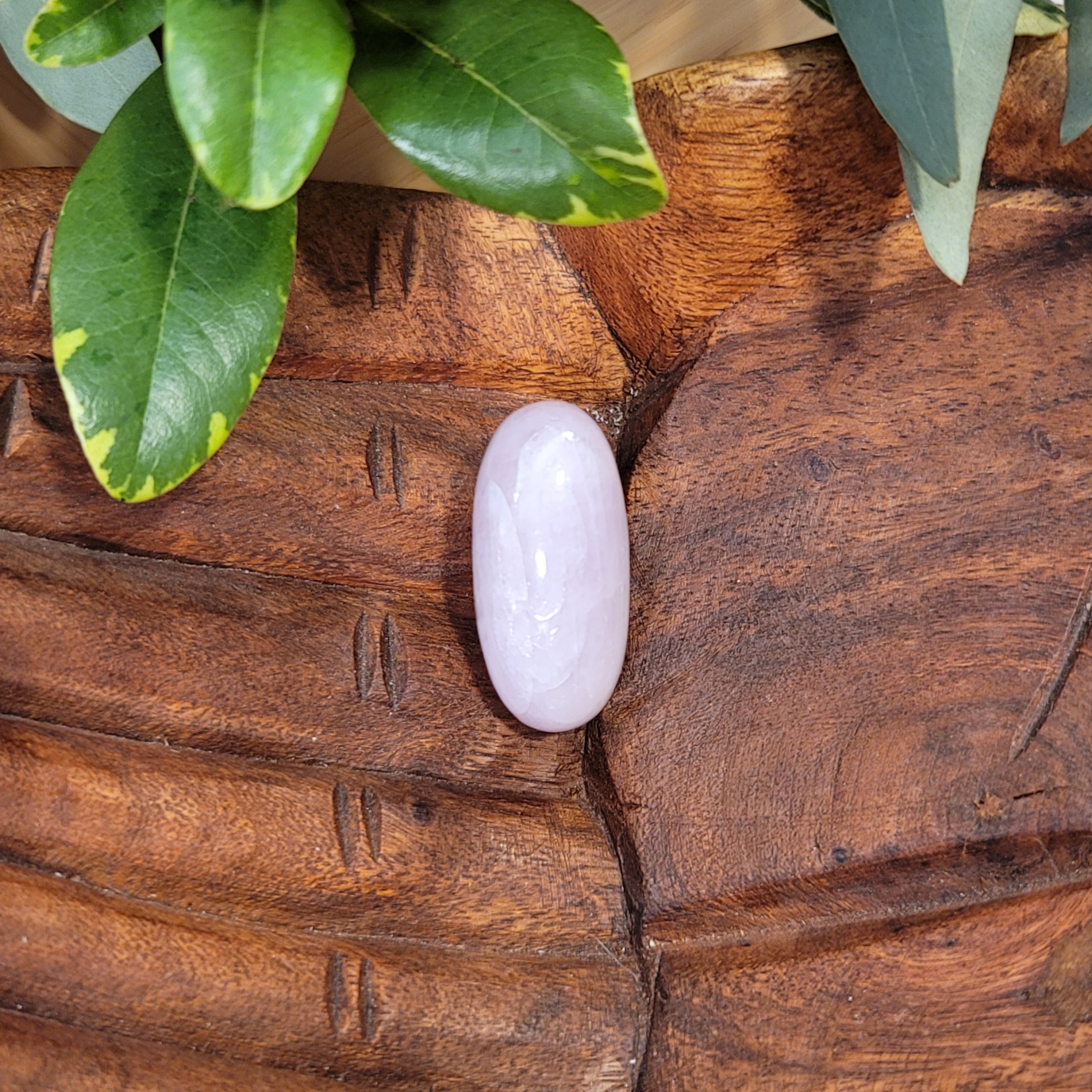Kunzite Shiva for Emotional, Family Healing and Opening Your Heart to Love