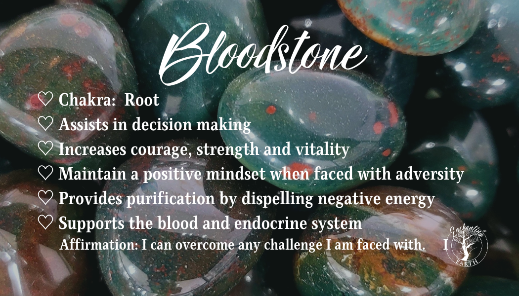 African Bloodstone Bracelet (High Quality)