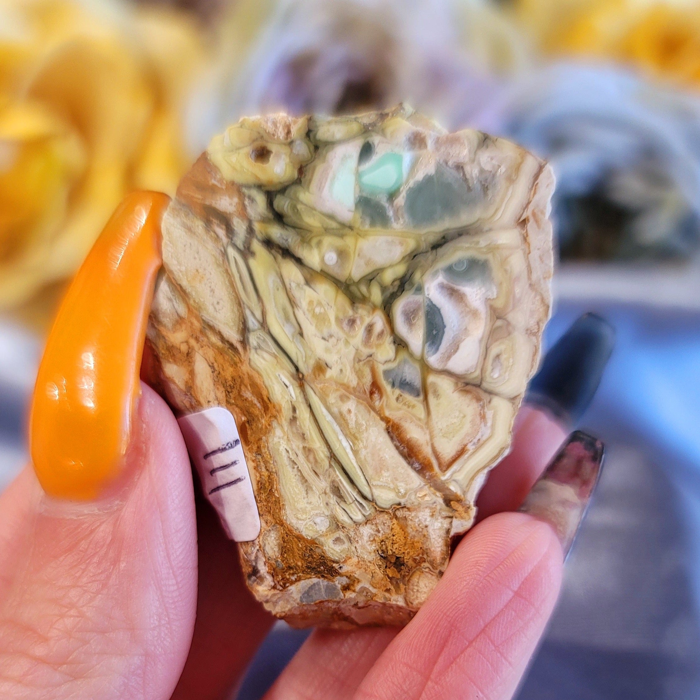 Rare Clay Canyon Variscite Slice for Emotional Healing, Joy, Love and Prosperity