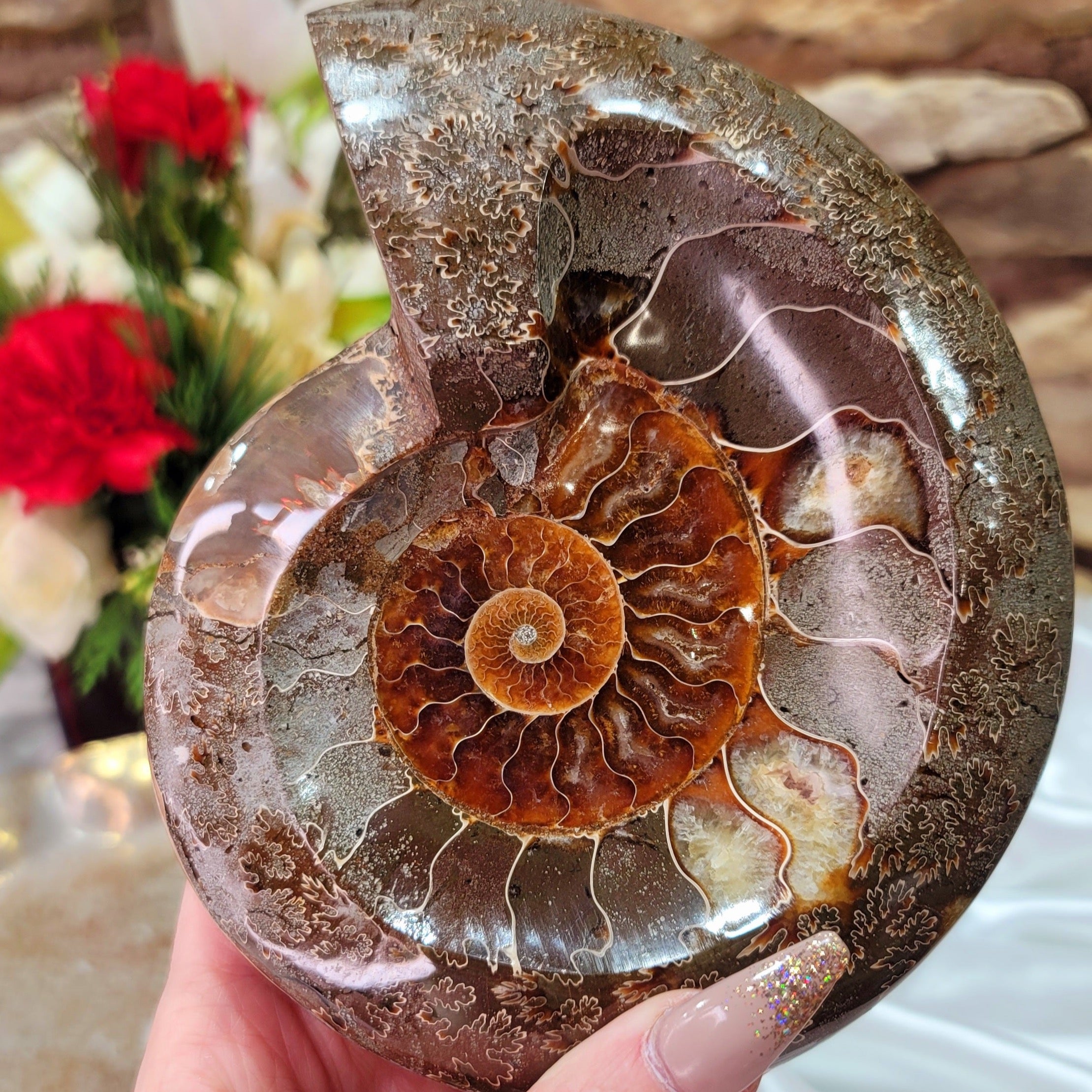 Ammonite Bowl for Balance, Good Luck, Positive Energy and Protection (154Q)