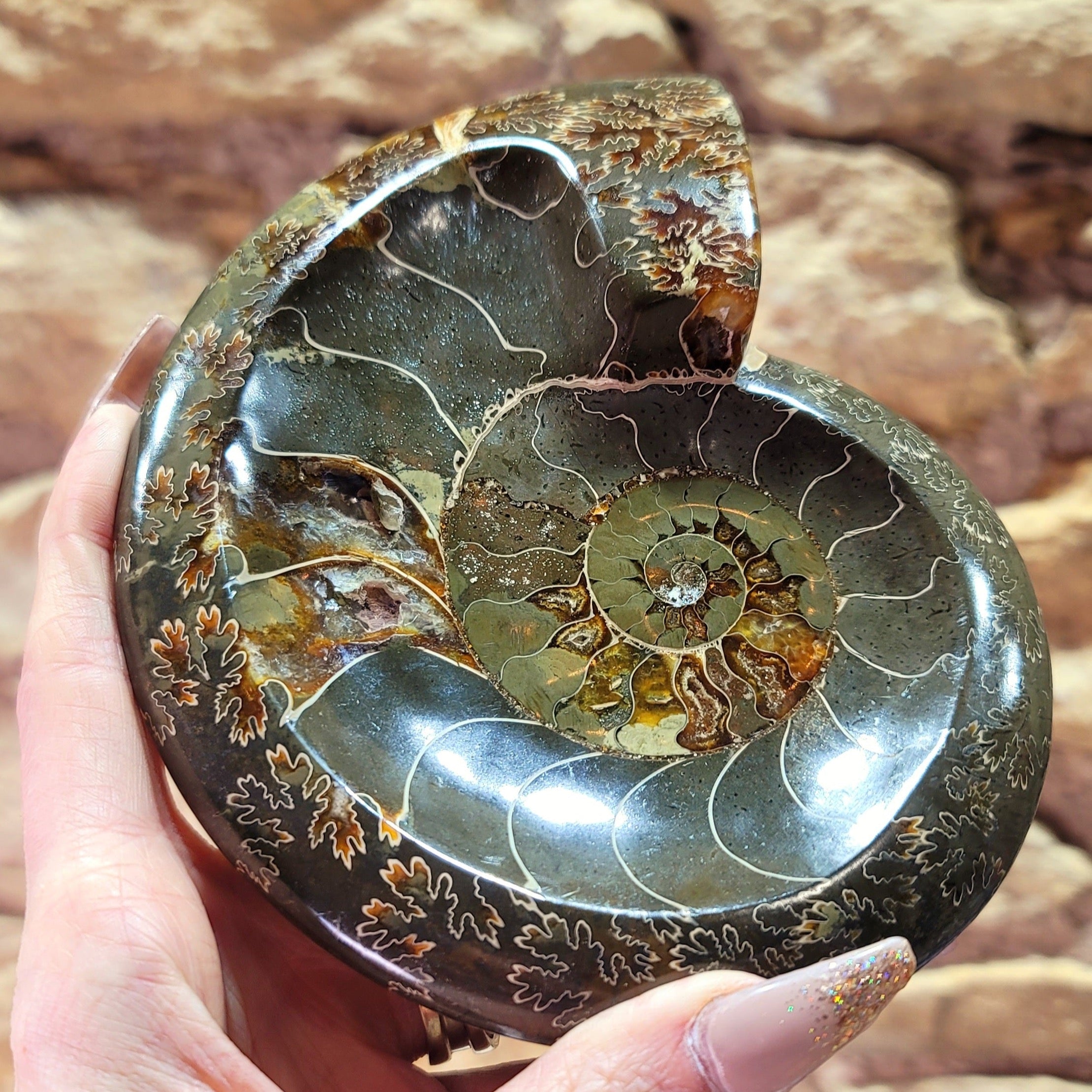 Ammonite Bowl for Balance, Good Luck, Positive Energy and Protection (142P)