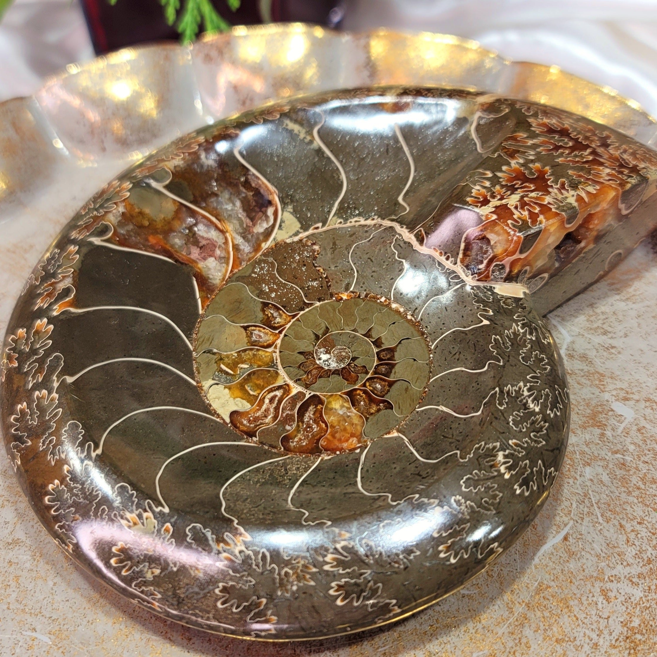 Ammonite Bowl for Balance, Good Luck, Positive Energy and Protection (142P)