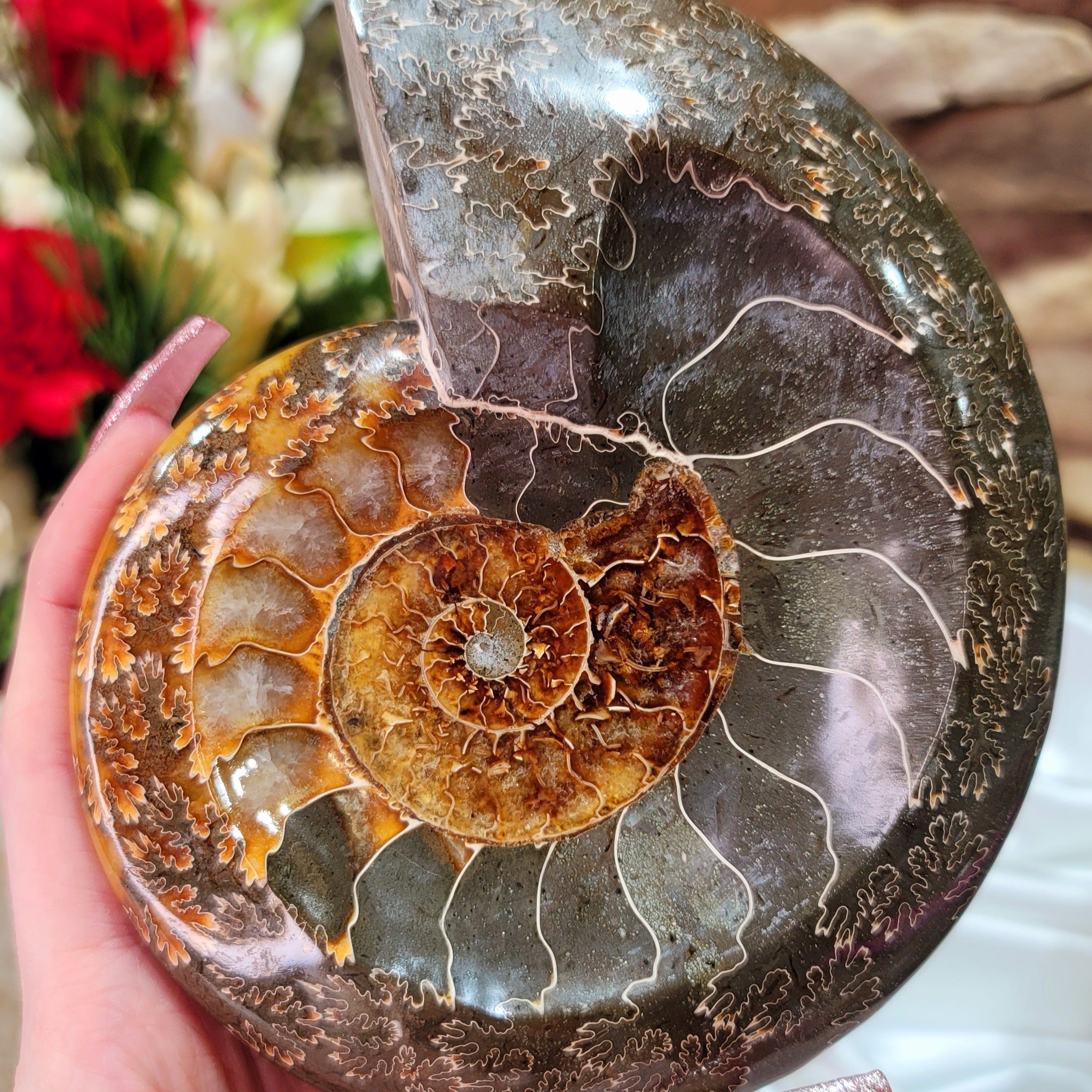 Ammonite Bowl for Balance, Good Luck, Positive Energy and Protection (129F)