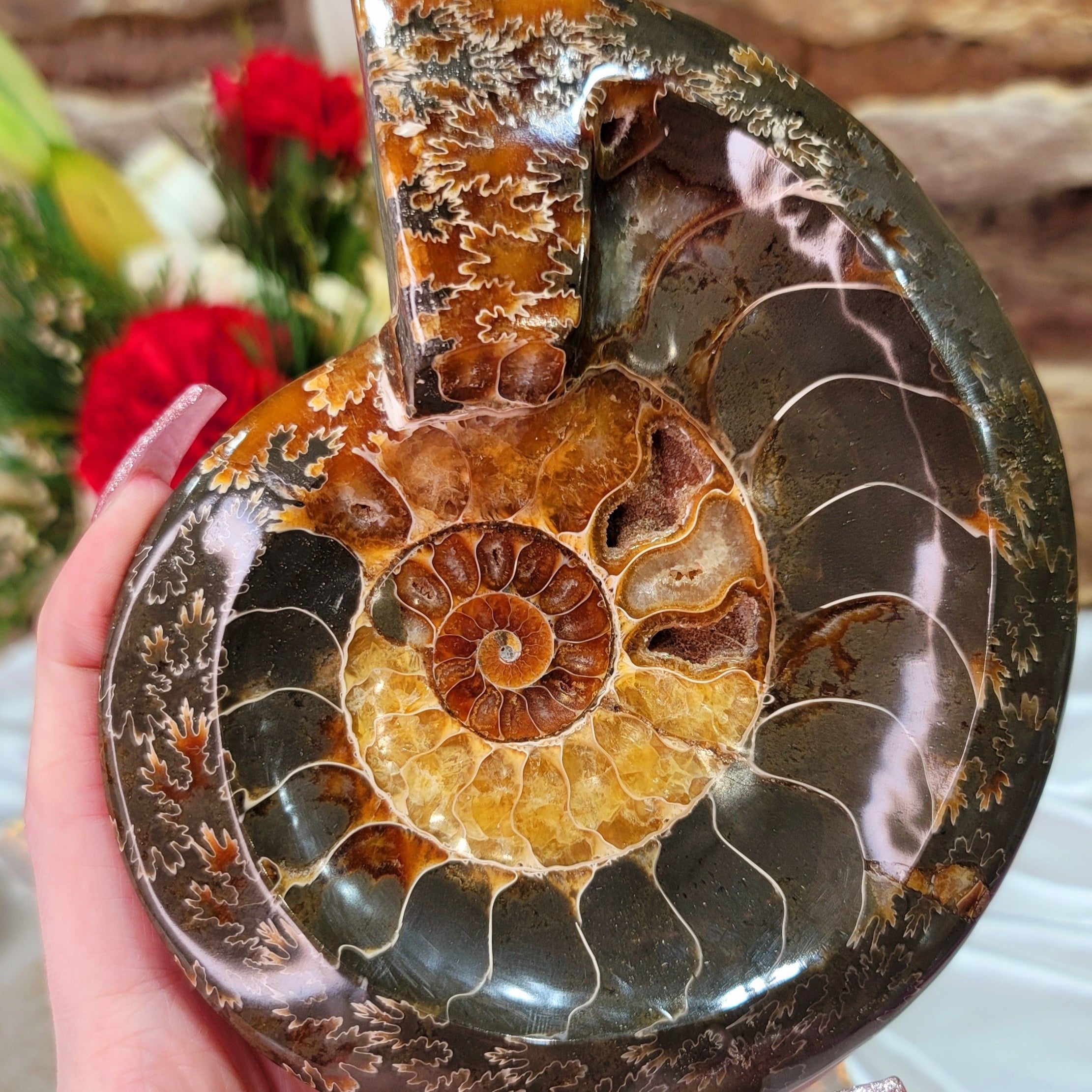 Ammonite Bowl for Balance, Good Luck, Positive Energy and Protection (122Y)