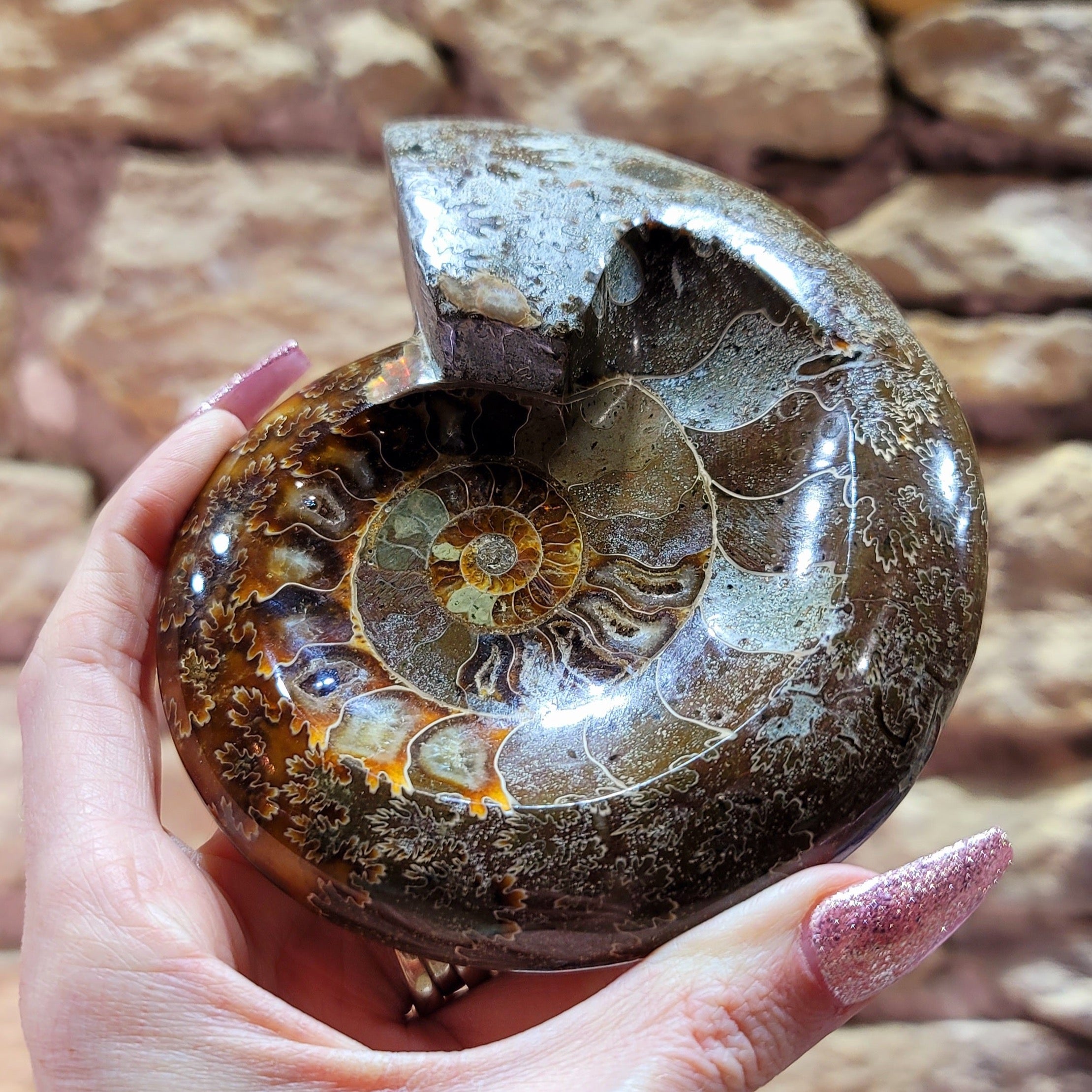 Ammonite Bowl for Balance, Good Luck, Positive Energy and Protection (95L)