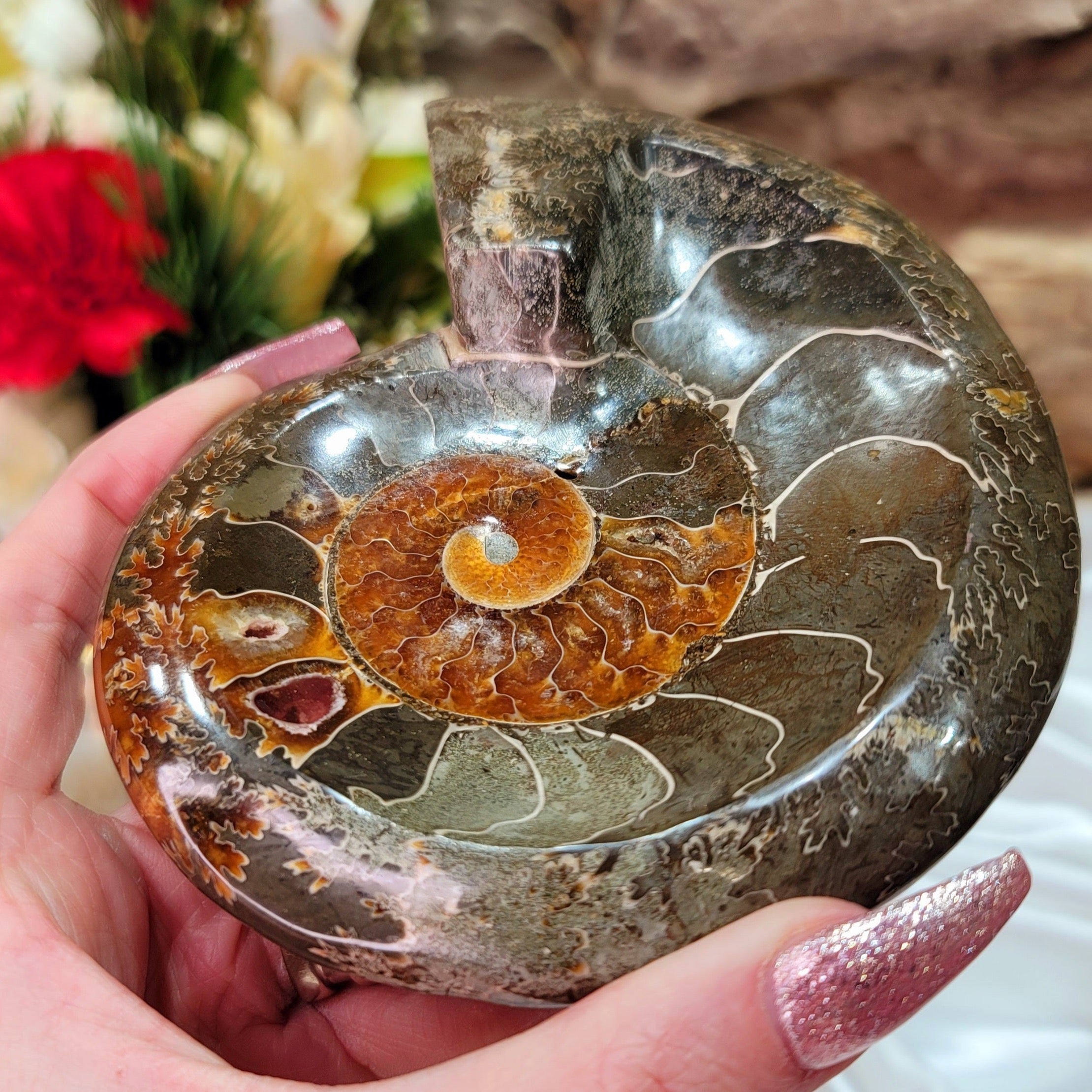 Ammonite Bowl for Balance, Good Luck, Positive Energy and Protection (90E)