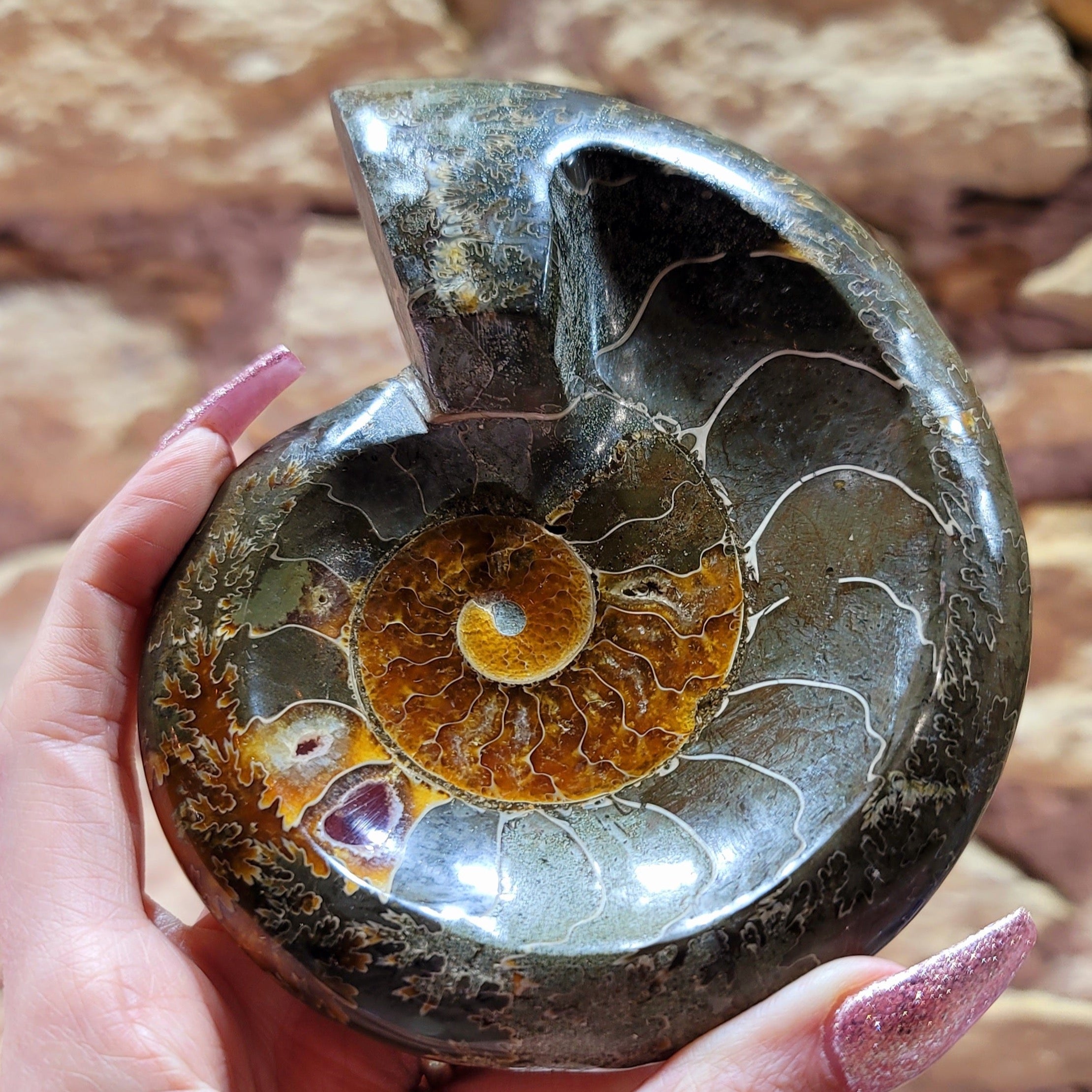 Ammonite Bowl for Balance, Good Luck, Positive Energy and Protection (90E)