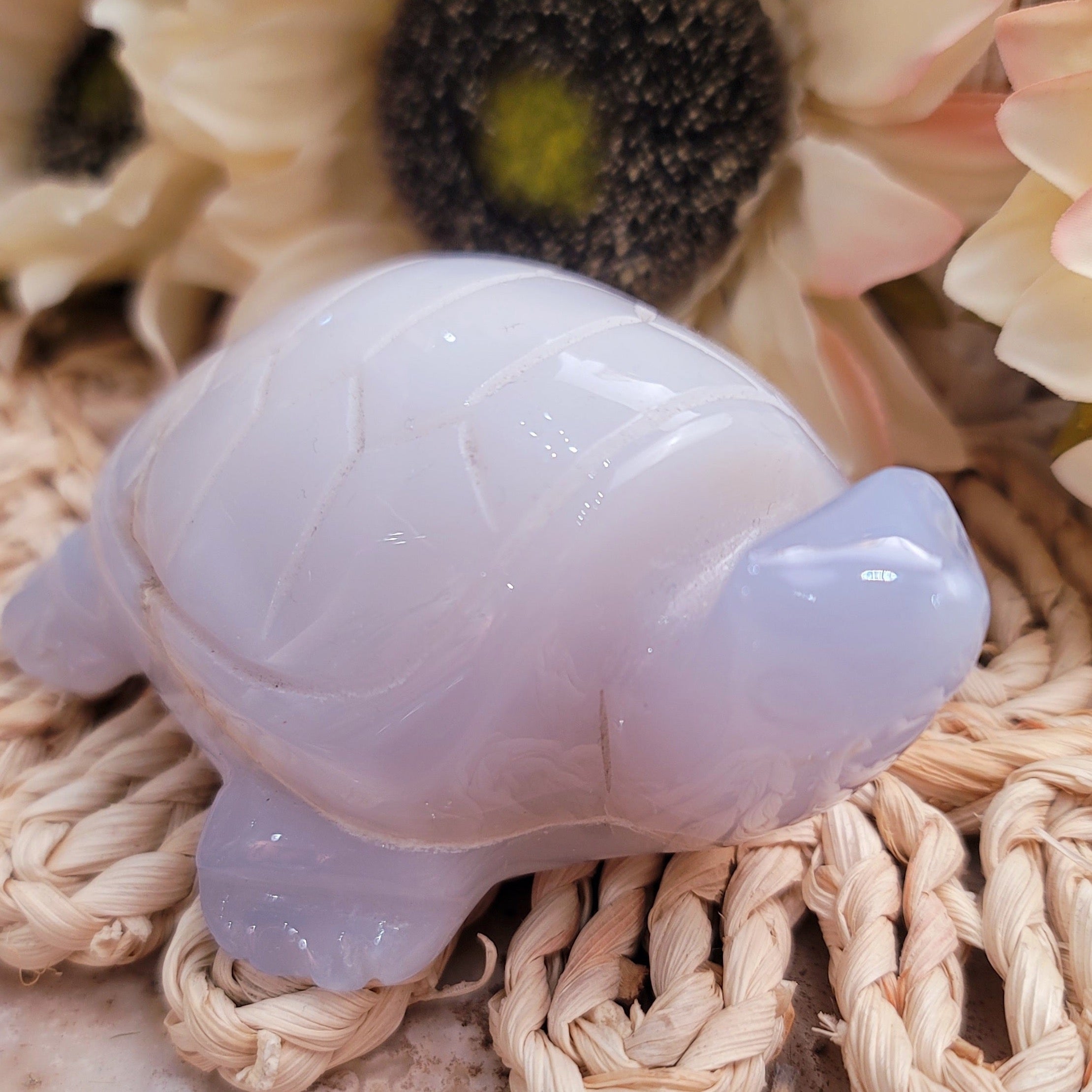 Blue Chalcedony Turtle for Tranquility and Transformation Anxiety & Stress Relief