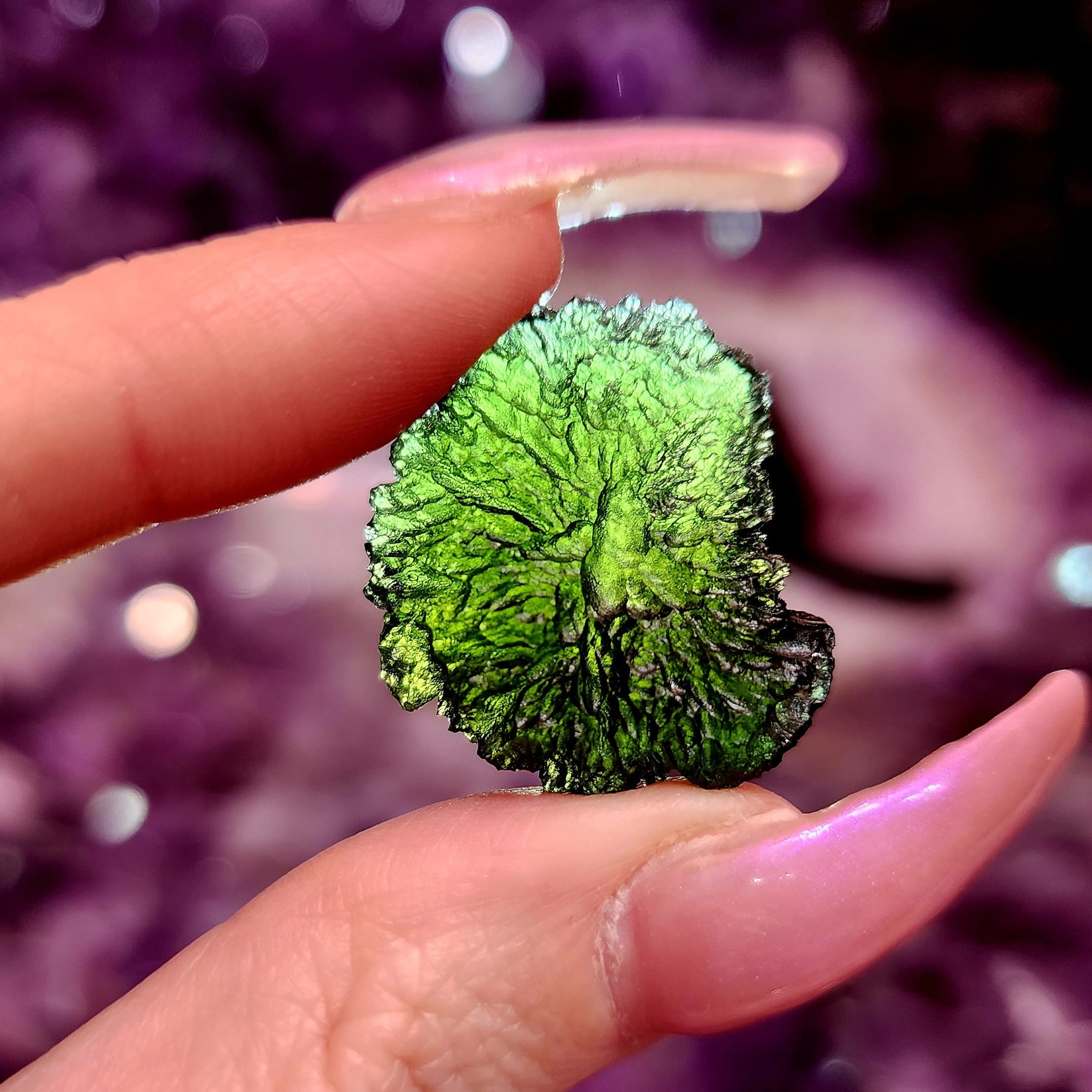 Moldavite Maly Chlum Raw Specimen for Creating Your Dream Life *Select Yours*