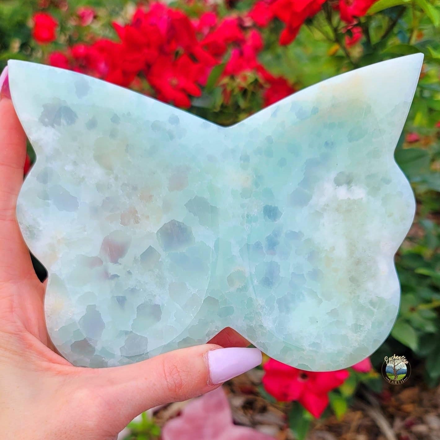 🦋Enchanting Exclusive🦋 Caribbean Calcite Butterfly Bowl
