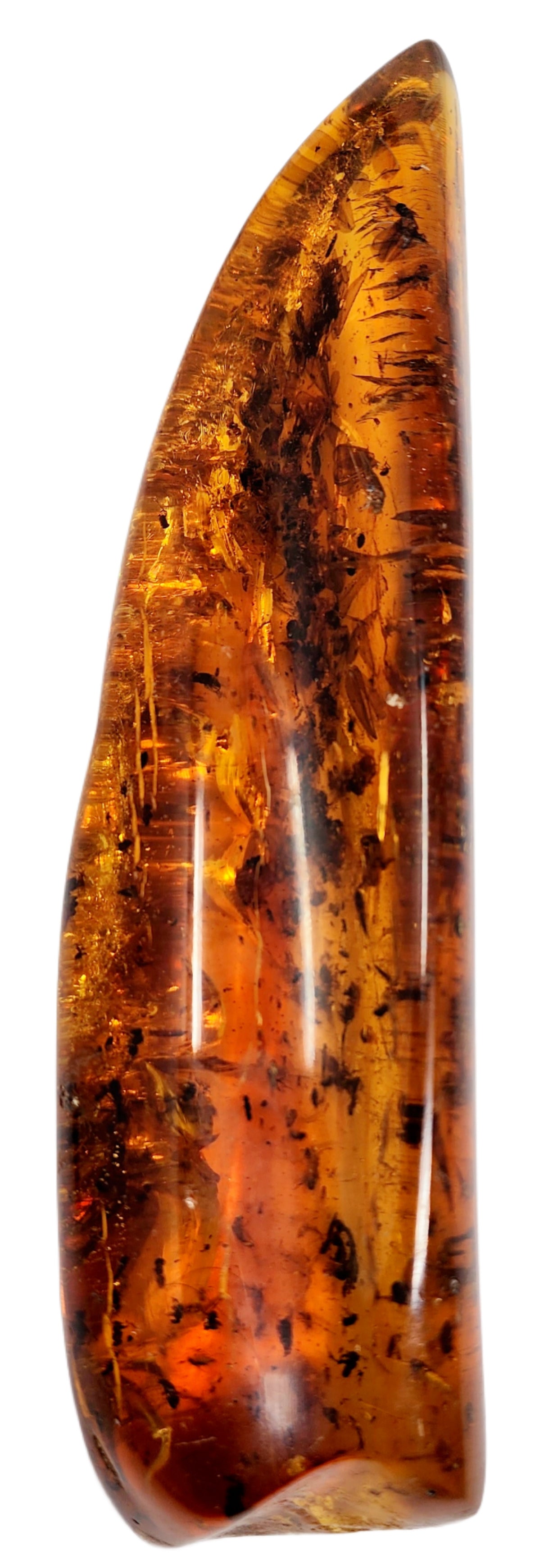 Amber – Enchanting Earth