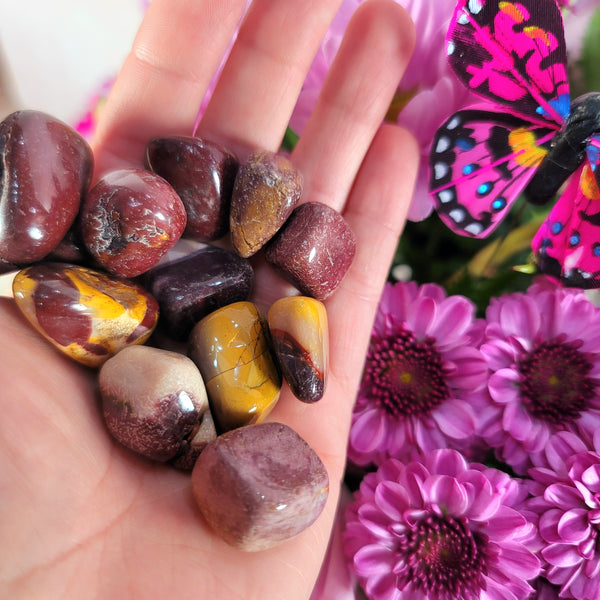 希少♡Mookaite Jasper　ムーカイト♡　風景画　枝　セット　天然石 20230508_164919_grande.jpg?v=