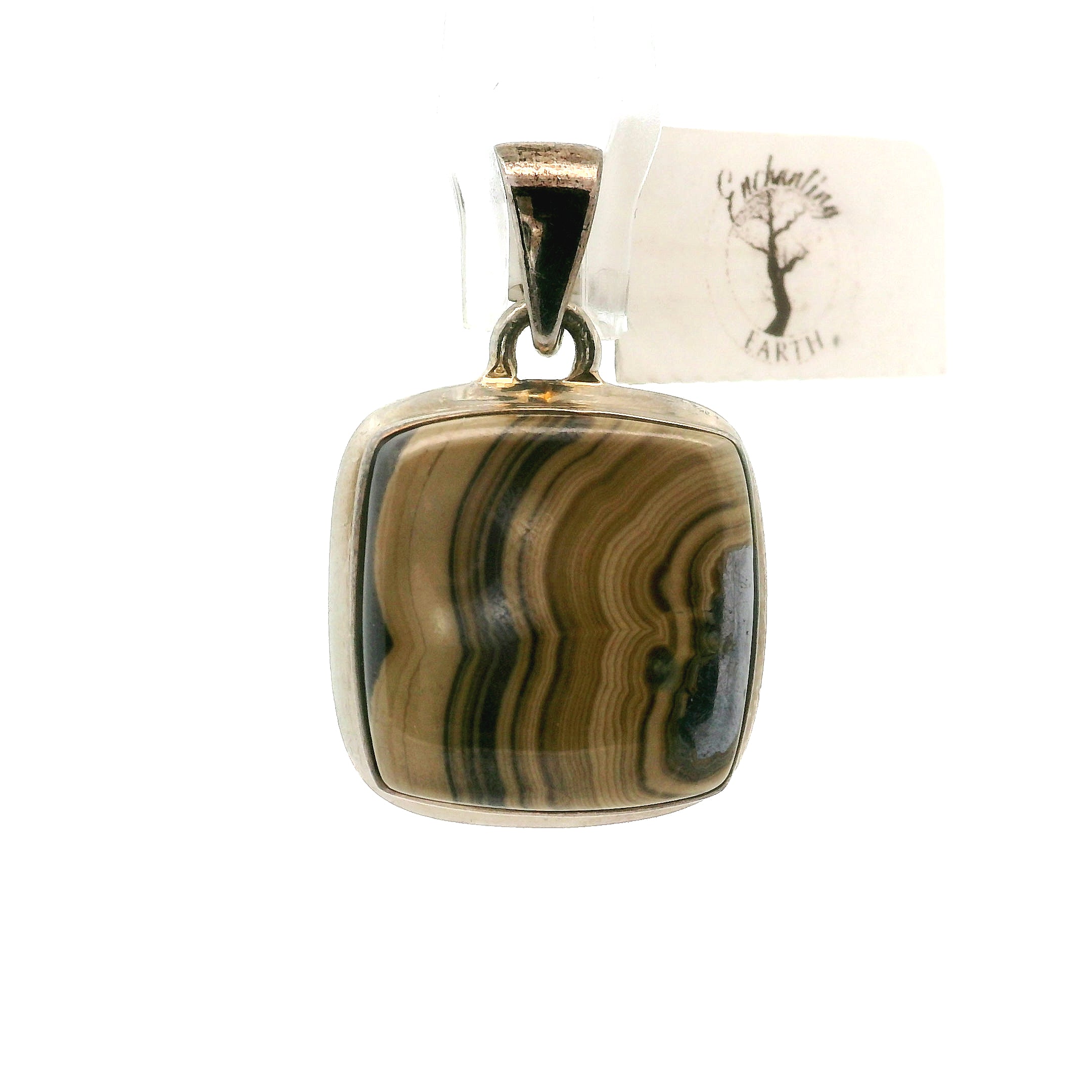 Schalenblende Pendant .925 Silver for Transformation, Grounding and Protection