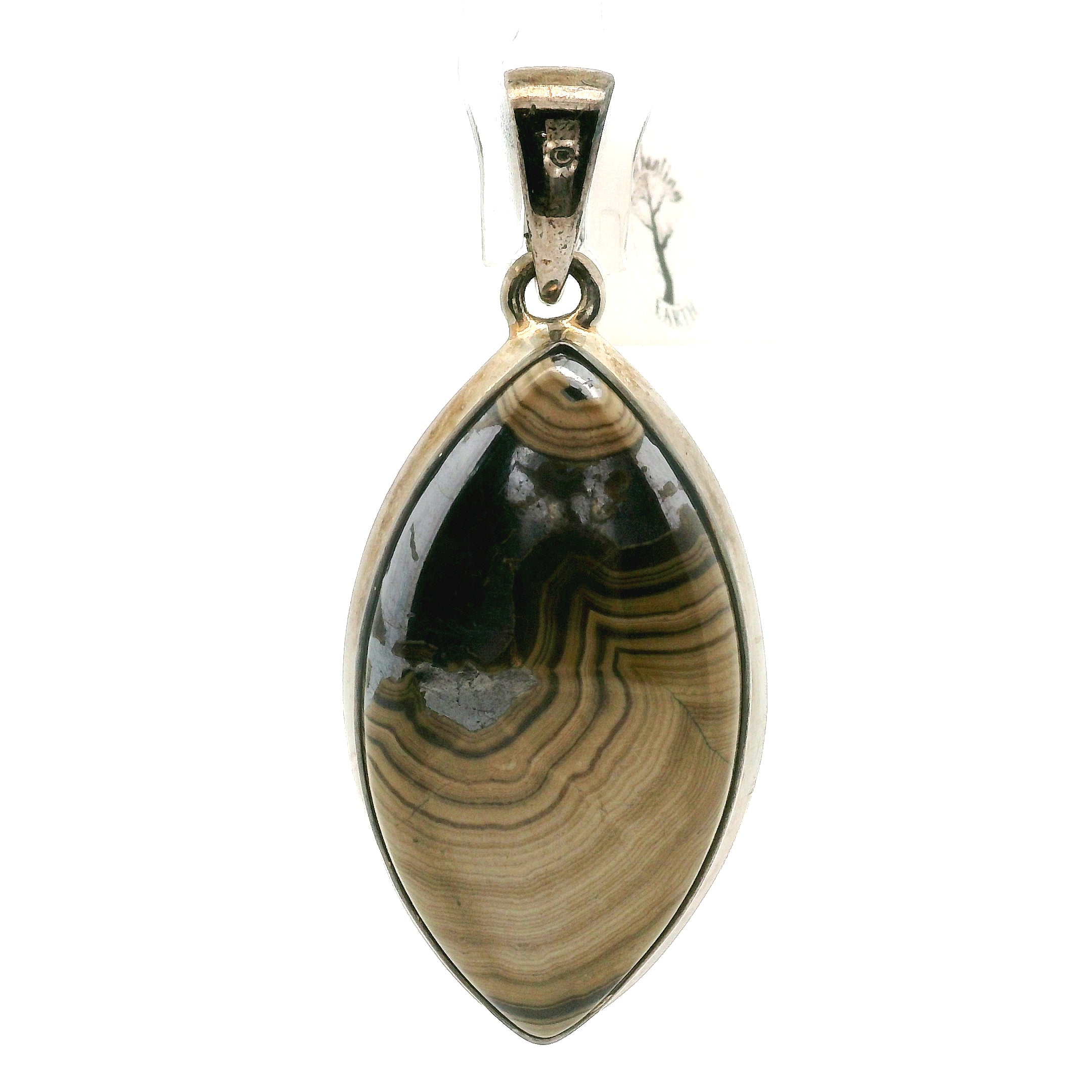 Schalenblende Pendant .925 Silver for Transformation, Grounding and Protection