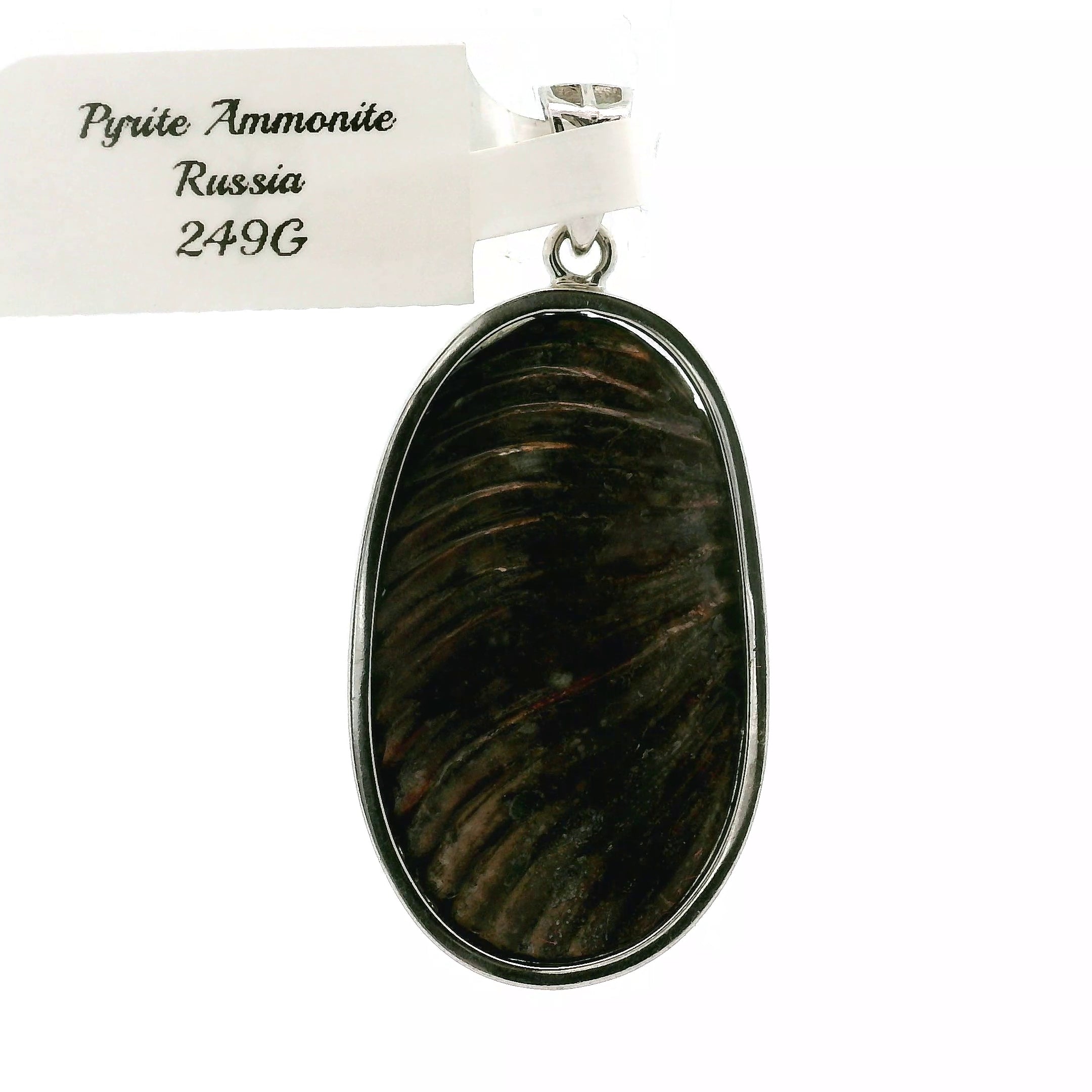 Pyrite Ammonite Pendant .925 Silver for Luck & Manifestation