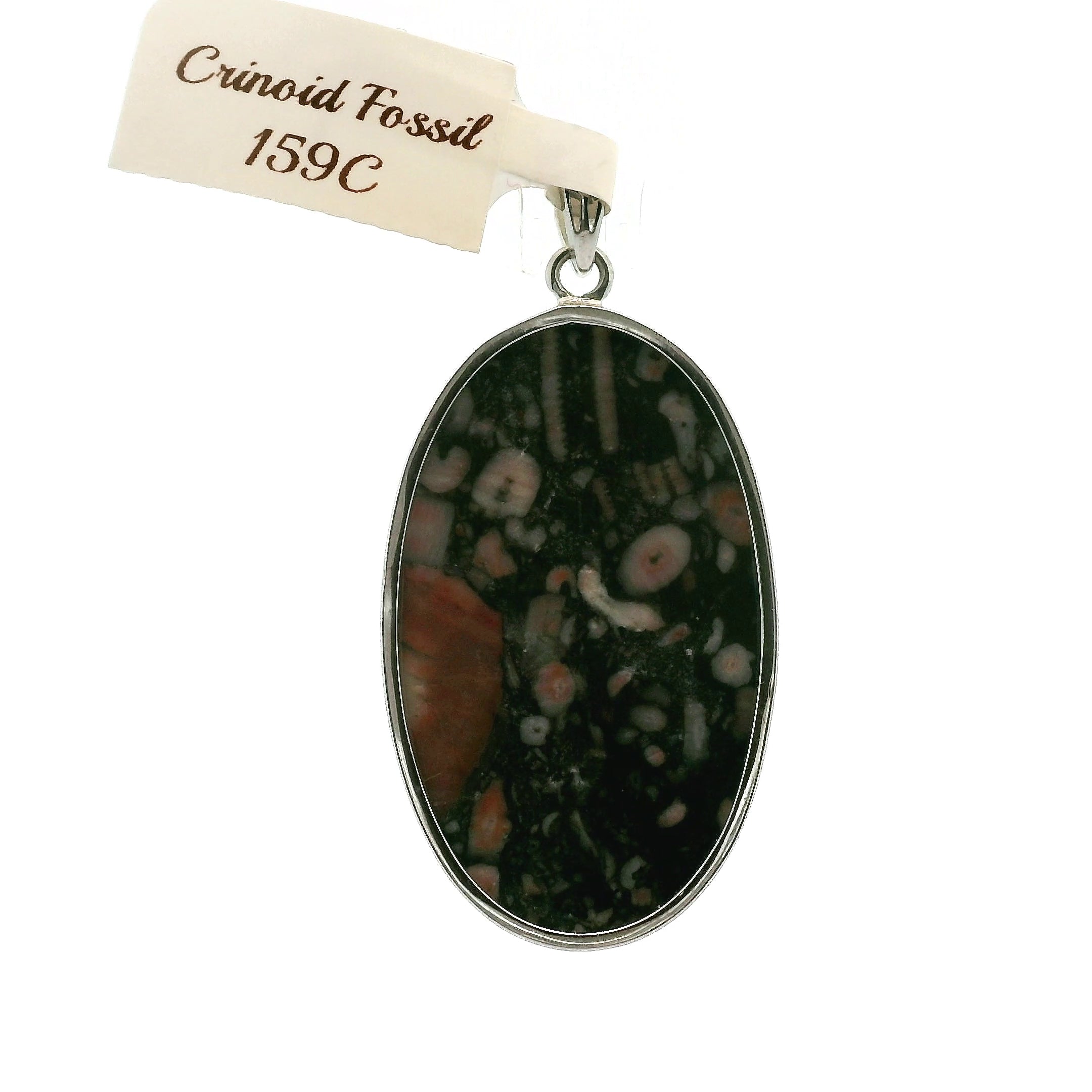 Crinoid Fossil Pendant .925 Silver for Strength, Grounding and Earth Connection