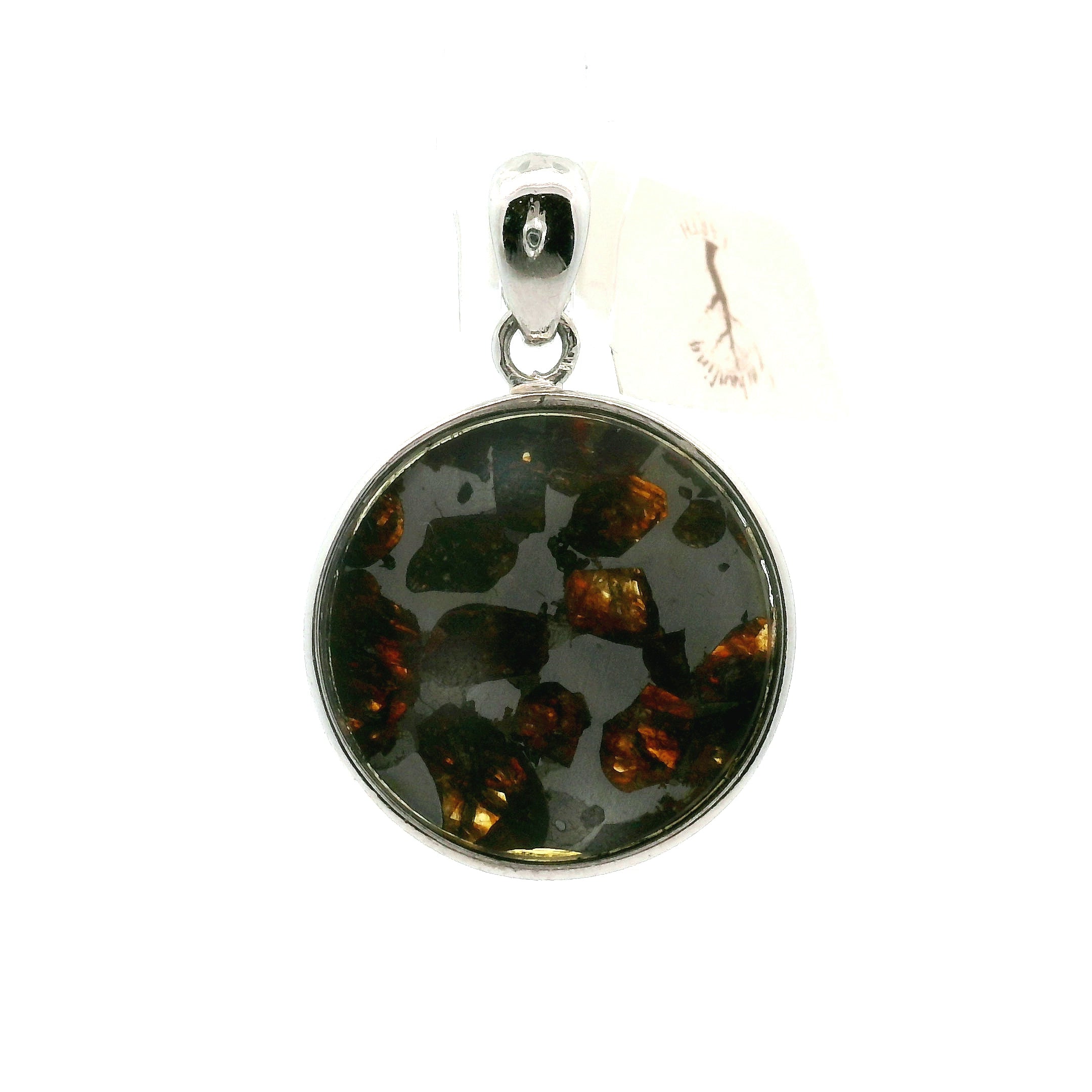 Pallasite Meteorite Pendant .925 Silver for Spiritual Awakening and Multidimensional Awareness