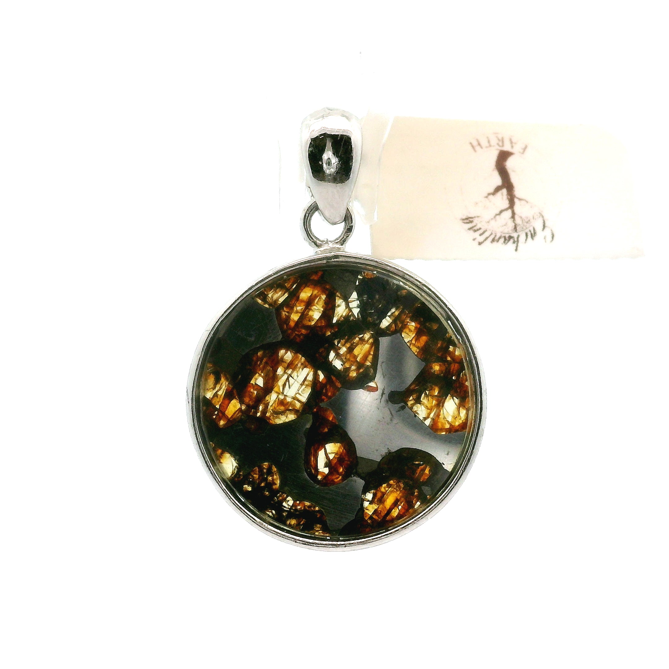 Pallasite Meteorite Pendant .925 Silver for Spiritual Awakening and Multidimensional Awareness