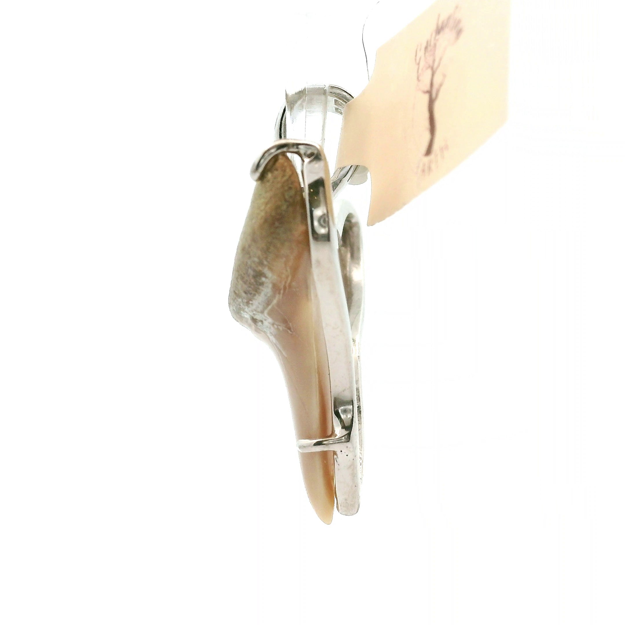 Shark Tooth Fossil Pendant .925 Silver for Emotional Support, Joy and Self Worth