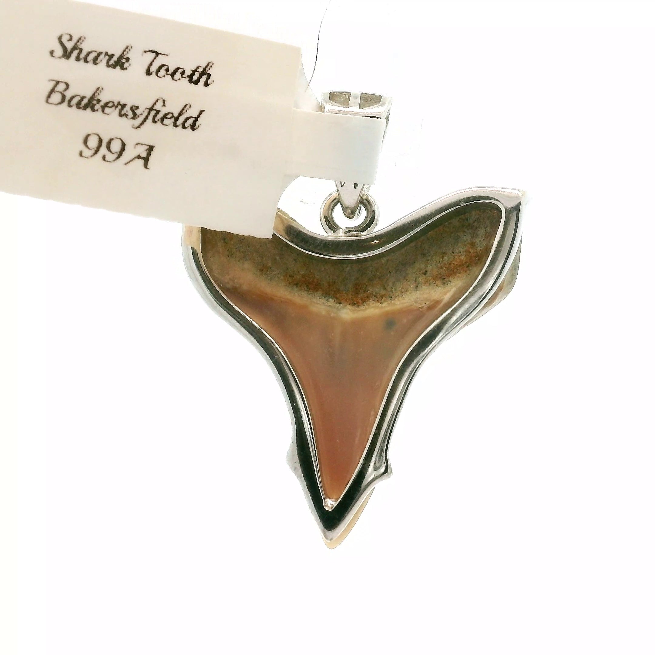 Shark Tooth Fossil Pendant .925 Silver for Emotional Support, Joy and Self Worth