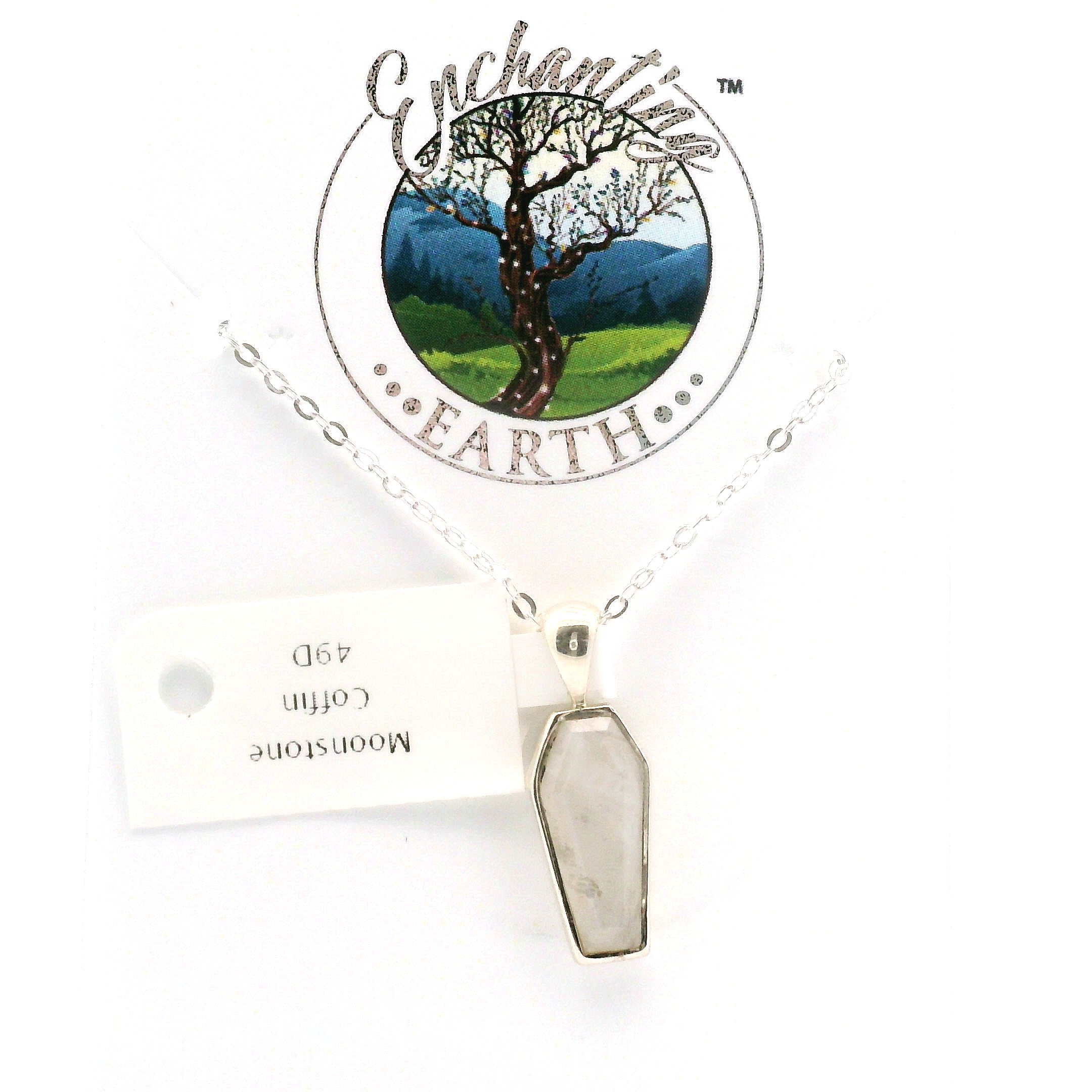 Coffin Necklace in .925 Silver Transformation and Rebirth