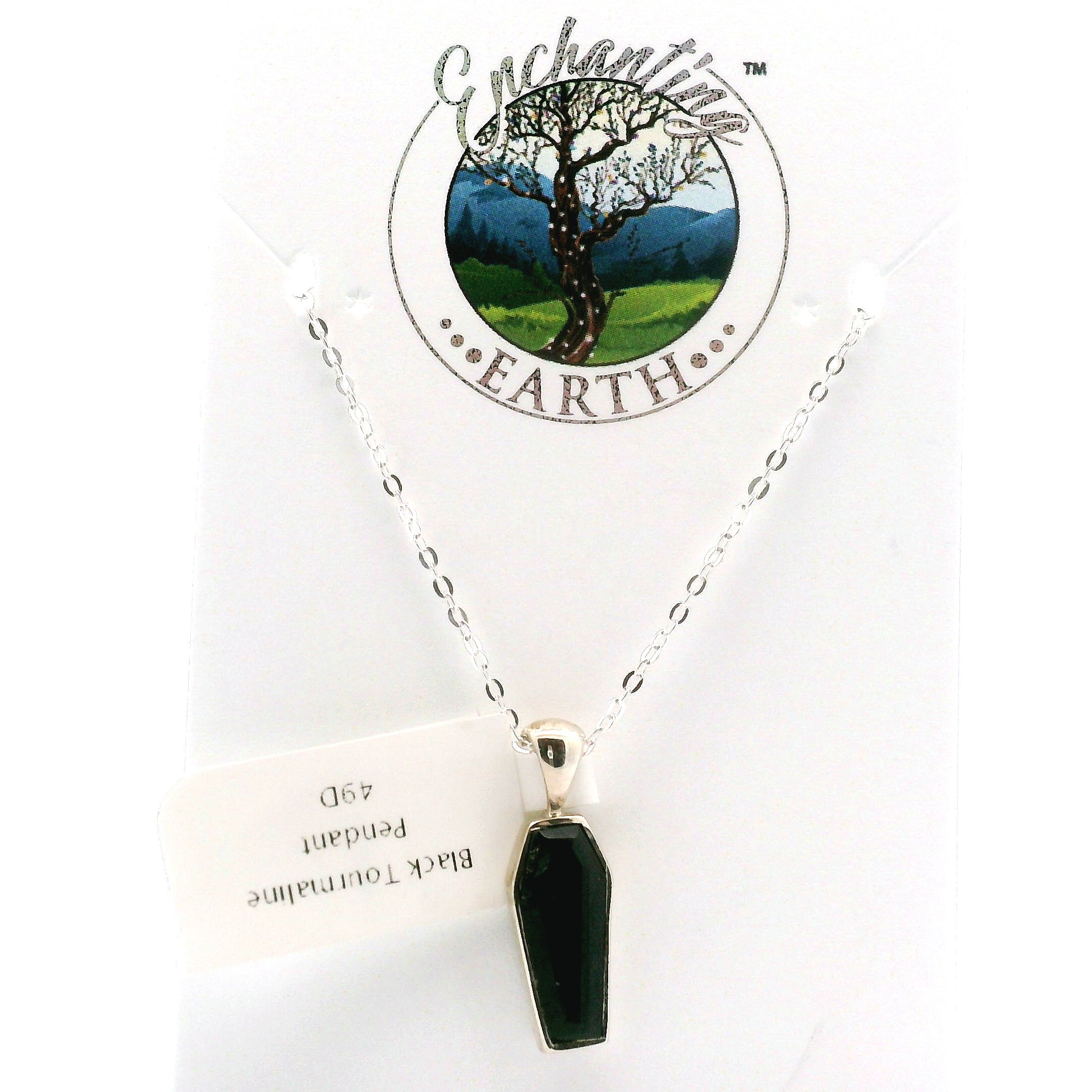 Coffin Necklace in .925 Silver Transformation and Rebirth