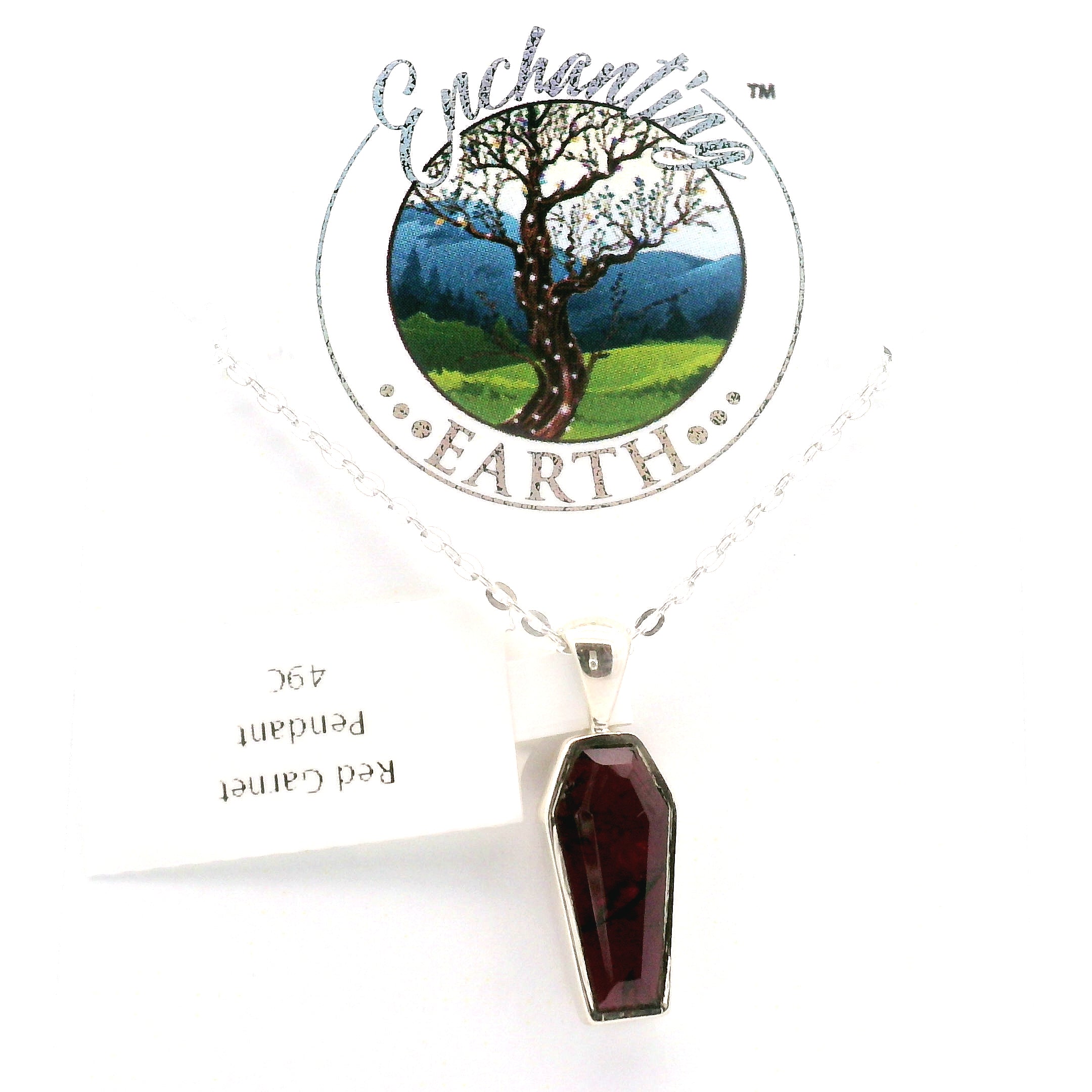 Coffin Necklace in .925 Silver Transformation and Rebirth