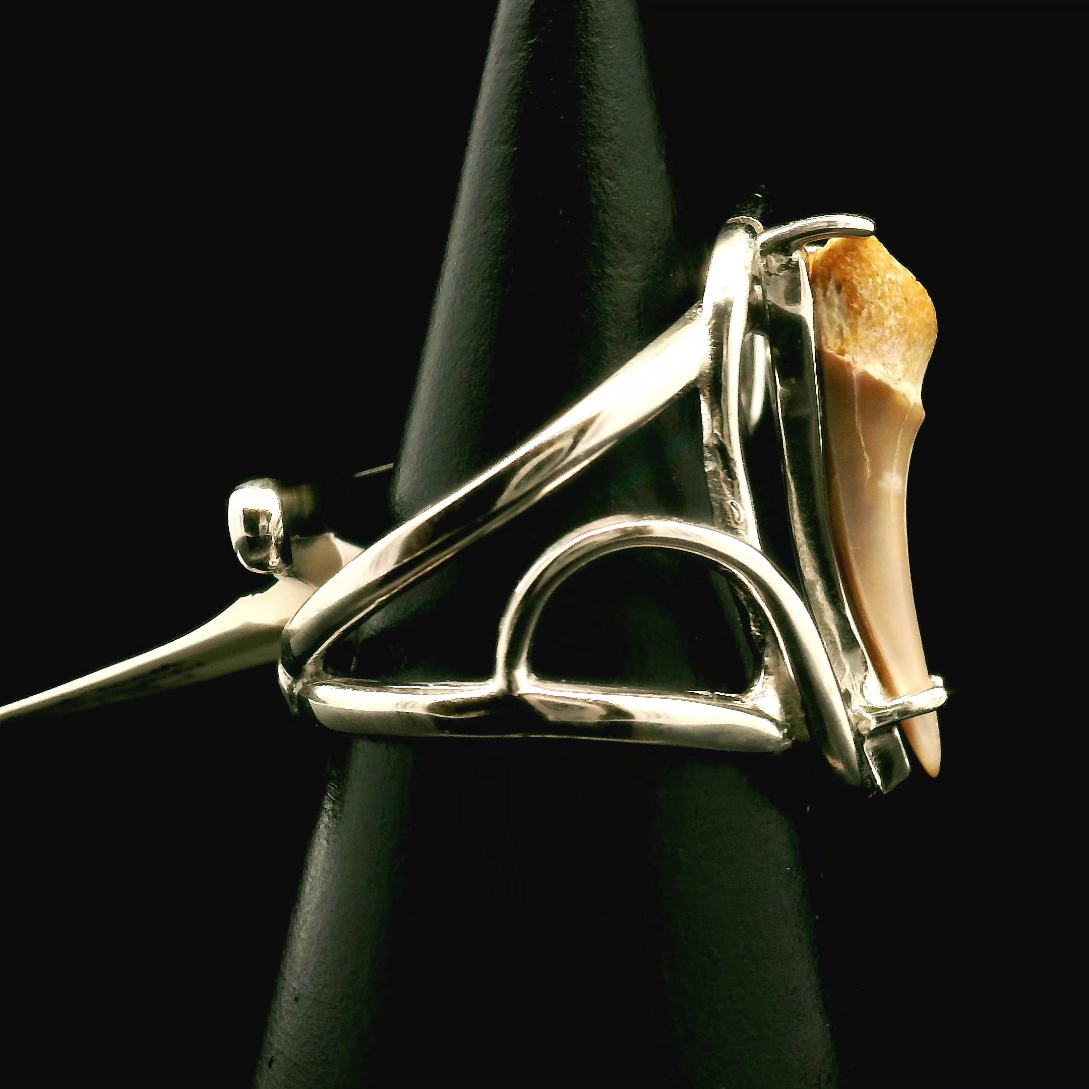 Shark Tooth Fossil Cuff Ring .925 Silver for Emotional Support, Joy and Self Worth