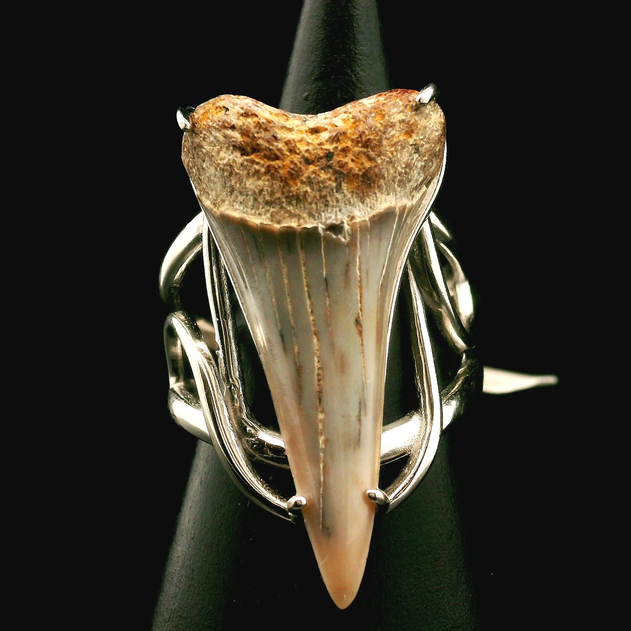 Shark Tooth Fossil Cuff Ring .925 Silver for Emotional Support, Joy and Self Worth