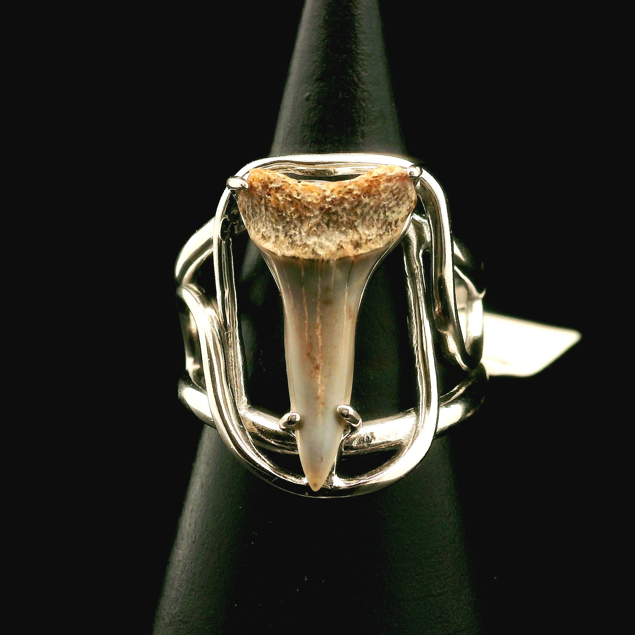 Shark Tooth Fossil Cuff Ring .925 Silver for Emotional Support, Joy and Self Worth