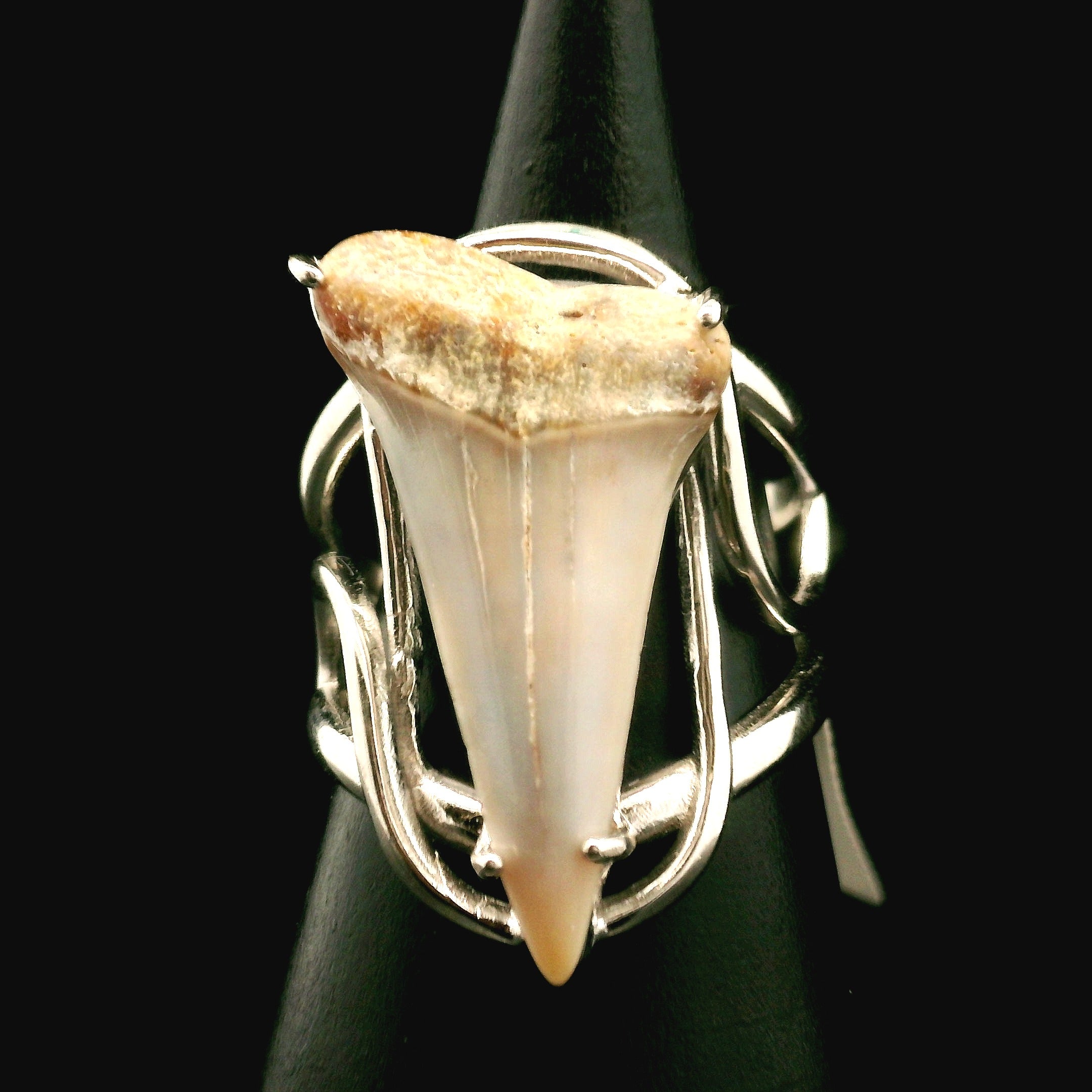 Shark Tooth Fossil Cuff Ring .925 Silver for Emotional Support, Joy and Self Worth