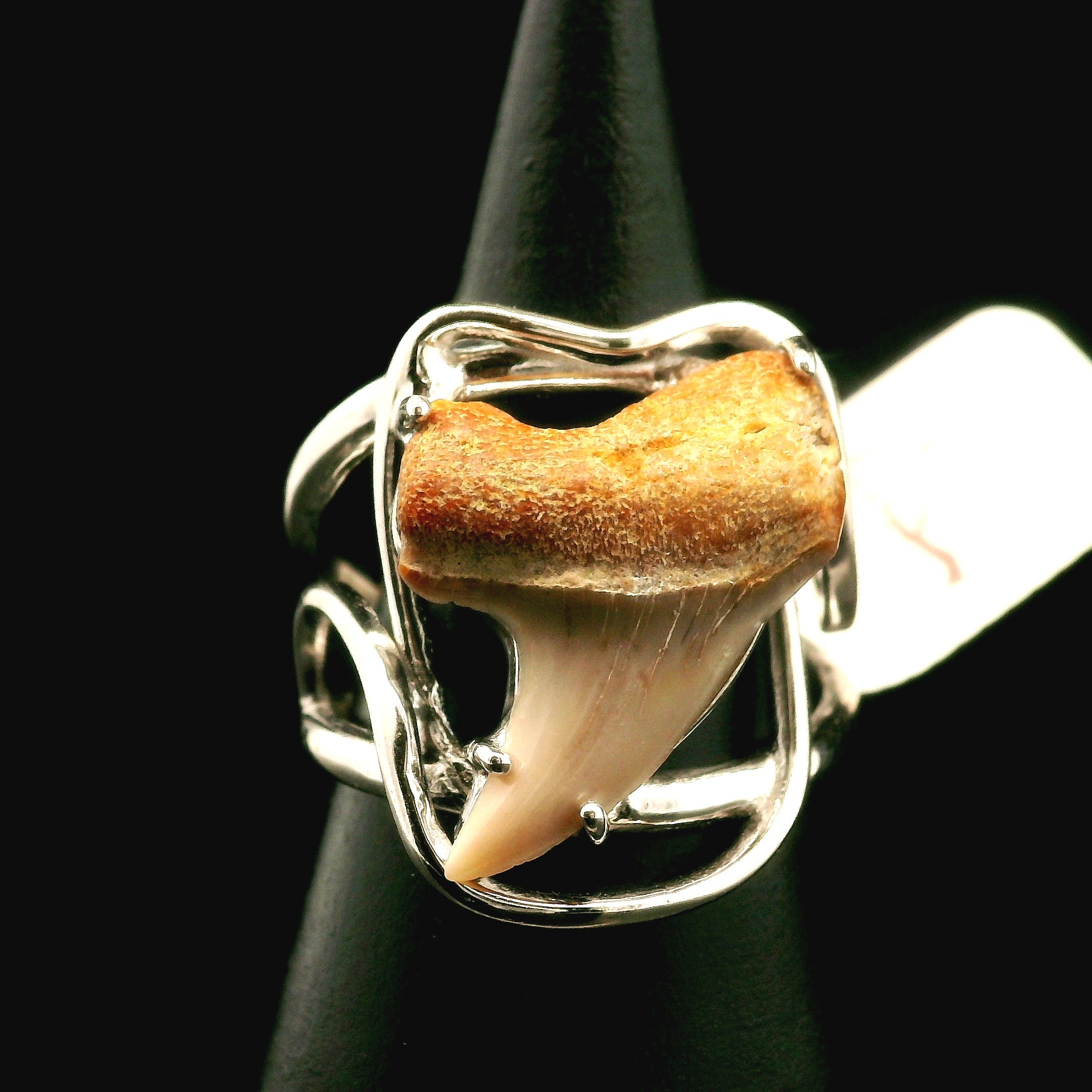 Shark Tooth Fossil Cuff Ring .925 Silver for Emotional Support, Joy and Self Worth