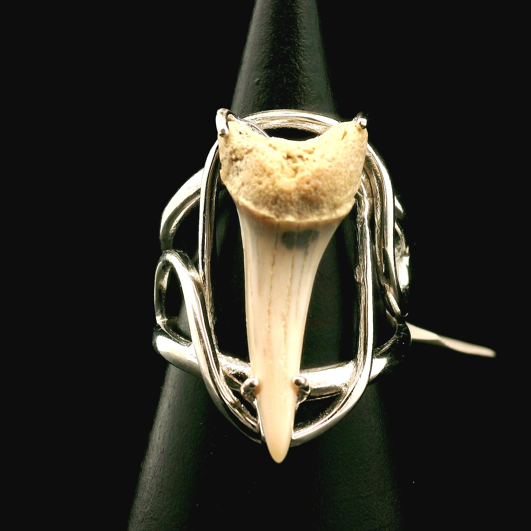 Shark Tooth Fossil Cuff Ring .925 Silver for Emotional Support, Joy and Self Worth