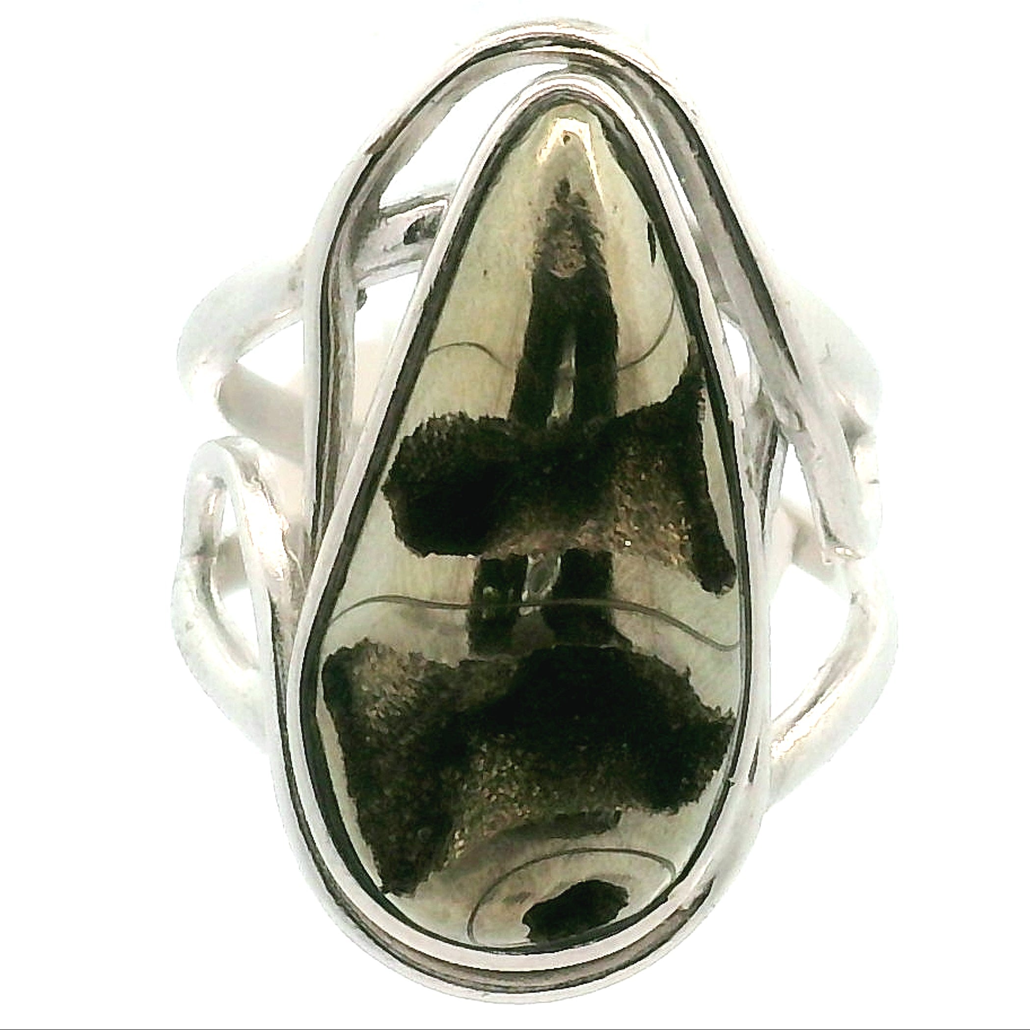 Pyrite Ammonite Cuff Ring .925 Silver for Luck & Manifestation