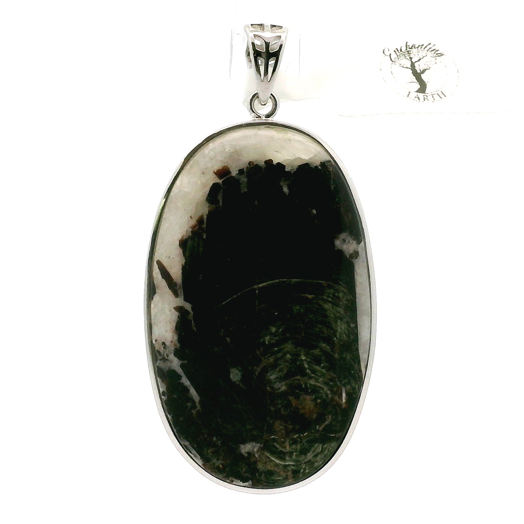 Tetraphlogopite Pendant .925 Silver for Clarity, Vitality and Transformation