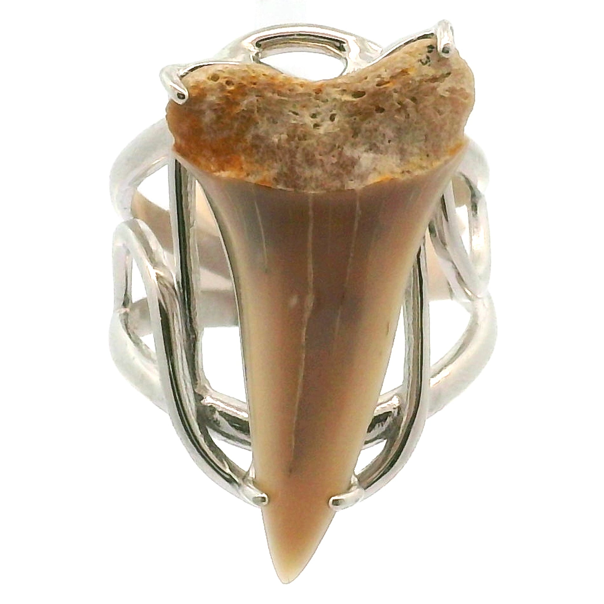 Shark Tooth Fossil Cuff Ring .925 Silver for Emotional Support, Joy and Self Worth