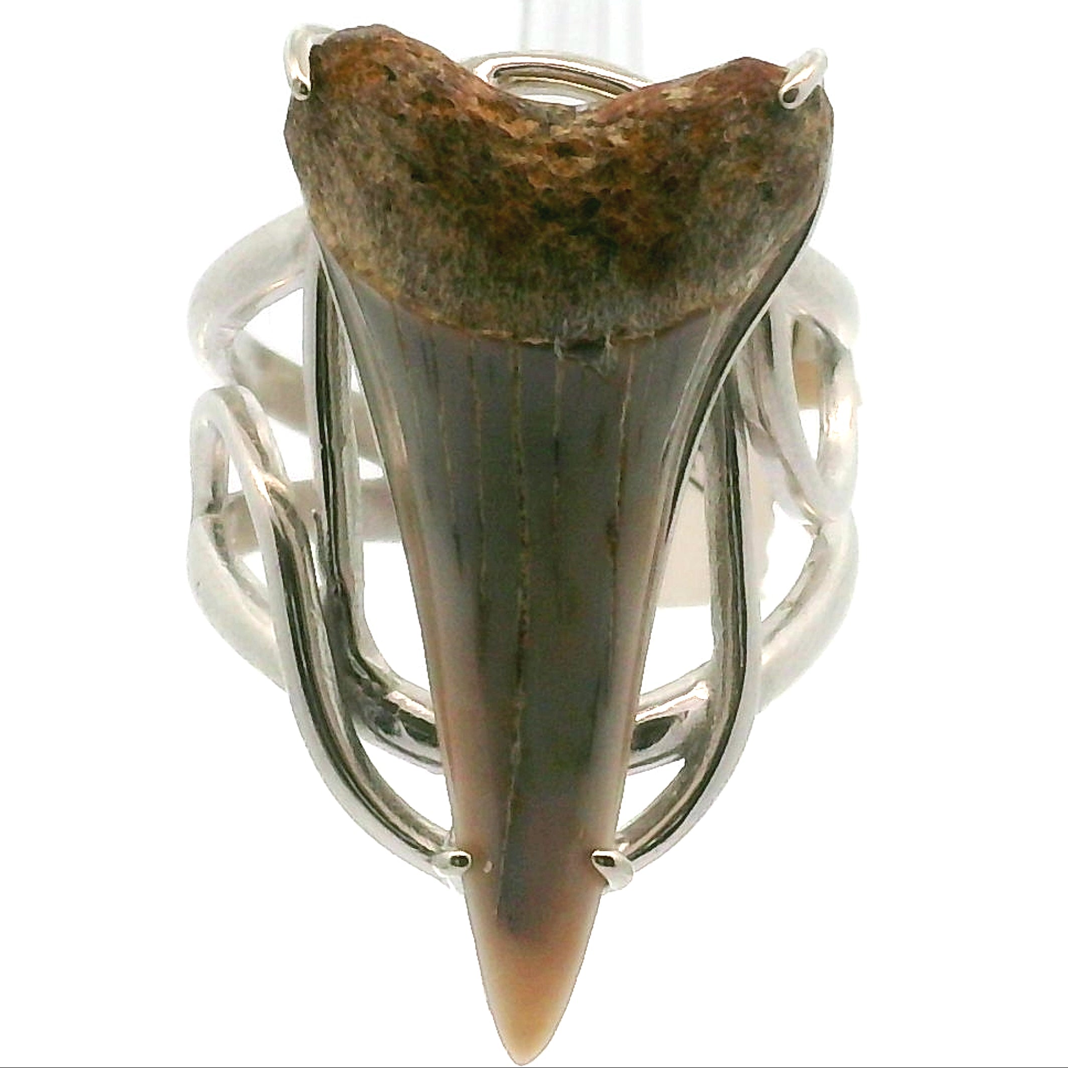 Shark Tooth Fossil Cuff Ring .925 Silver for Emotional Support, Joy and Self Worth