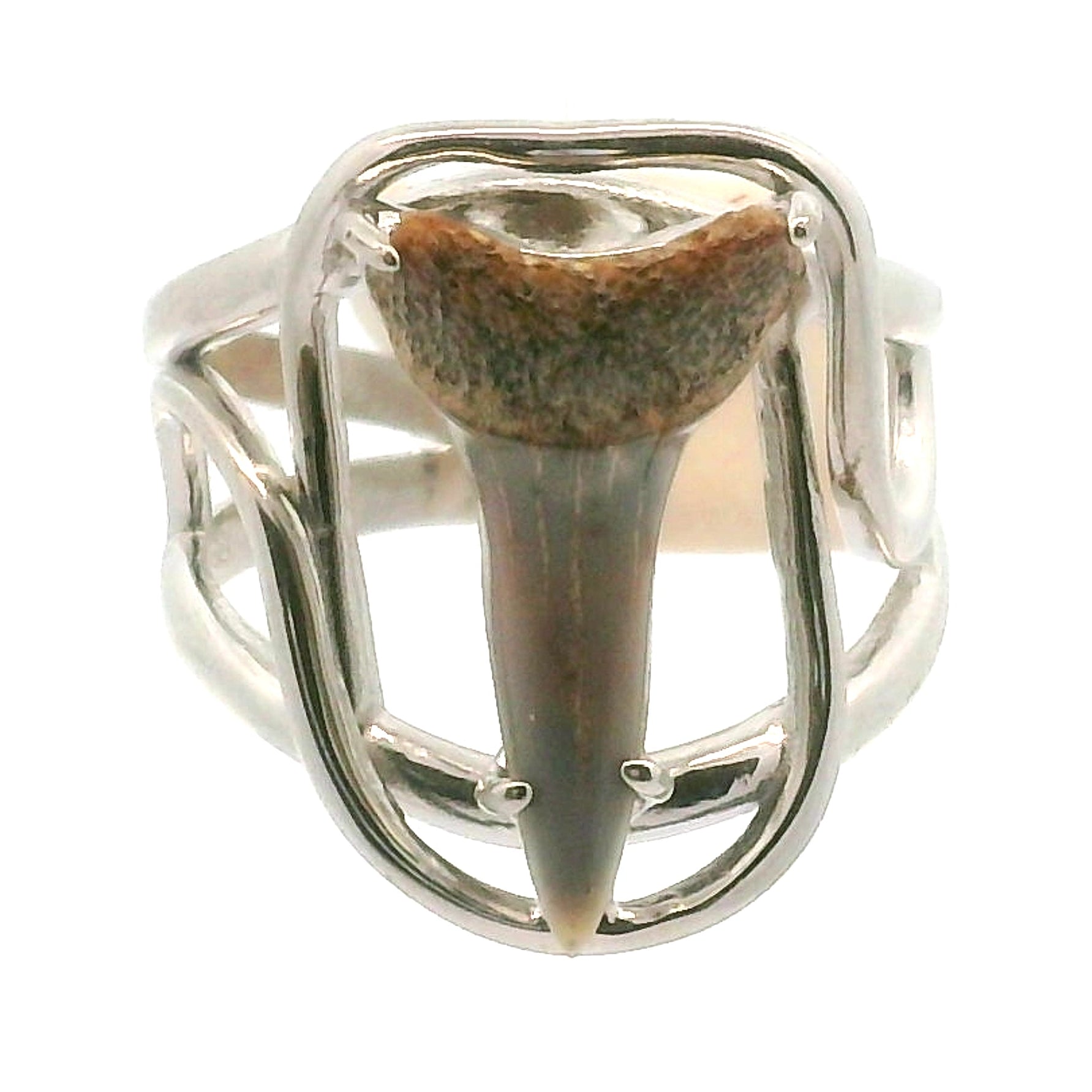 Shark Tooth Fossil Cuff Ring .925 Silver for Emotional Support, Joy and Self Worth