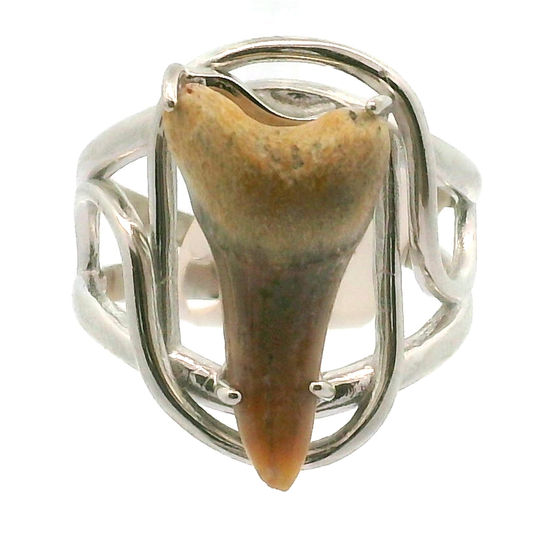 Shark Tooth Fossil Cuff Ring .925 Silver for Emotional Support, Joy and Self Worth