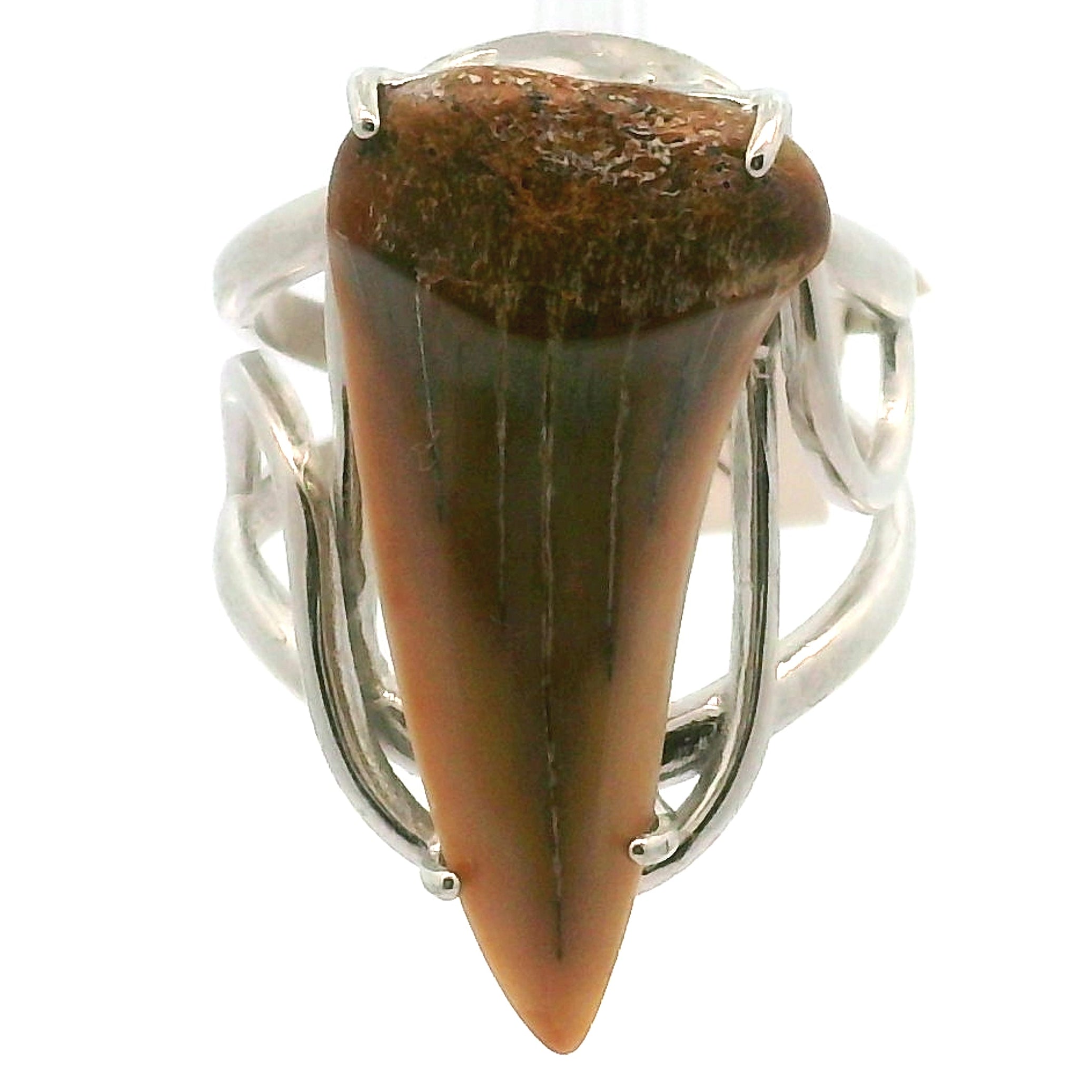 Shark Tooth Fossil Cuff Ring .925 Silver for Emotional Support, Joy and Self Worth