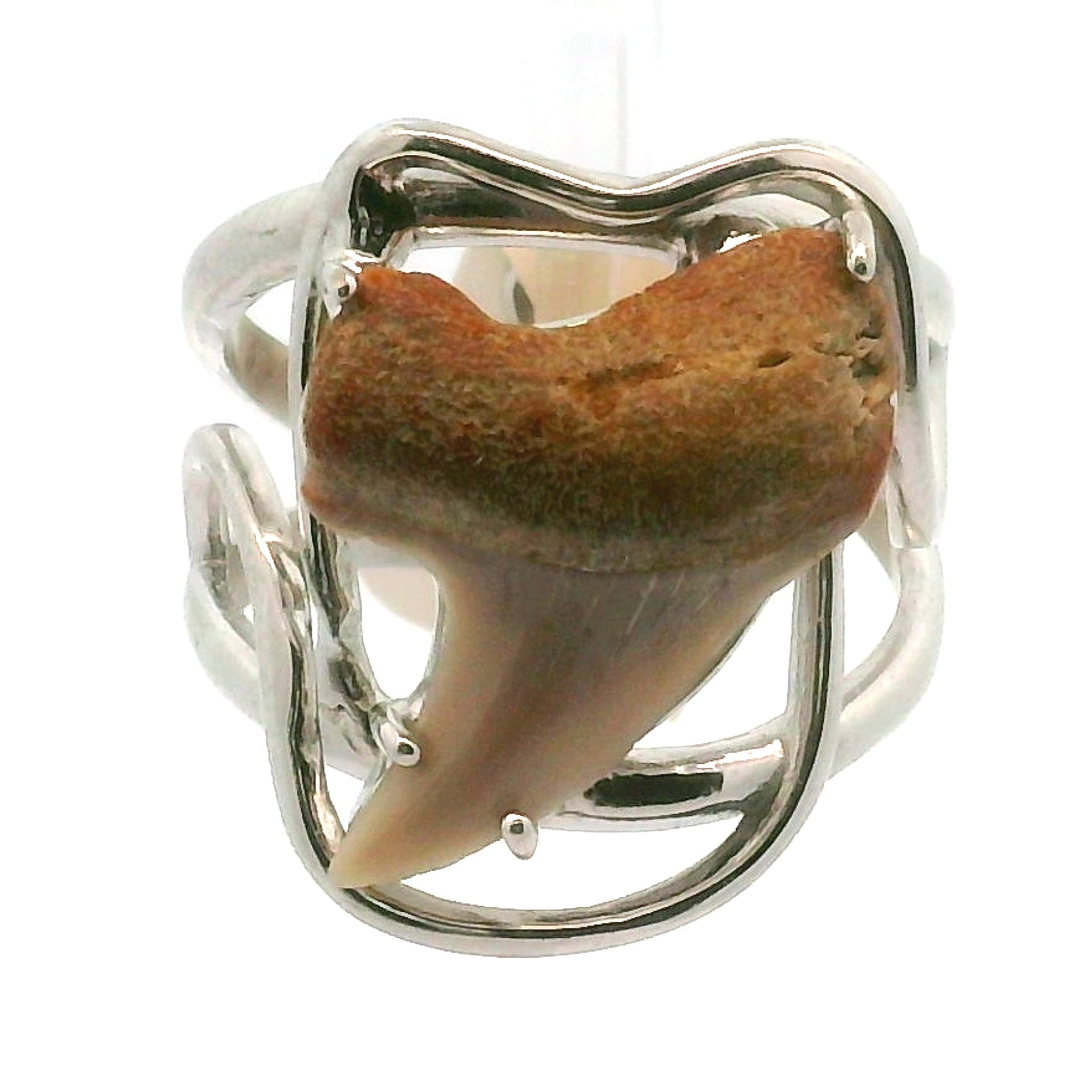 Shark Tooth Fossil Cuff Ring .925 Silver for Emotional Support, Joy and Self Worth