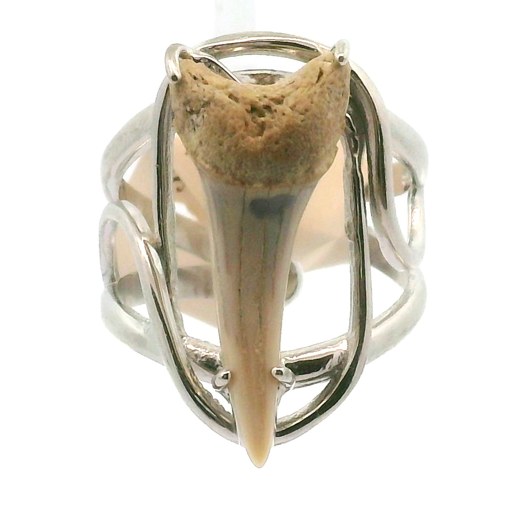 Shark Tooth Fossil Cuff Ring .925 Silver for Emotional Support, Joy and Self Worth