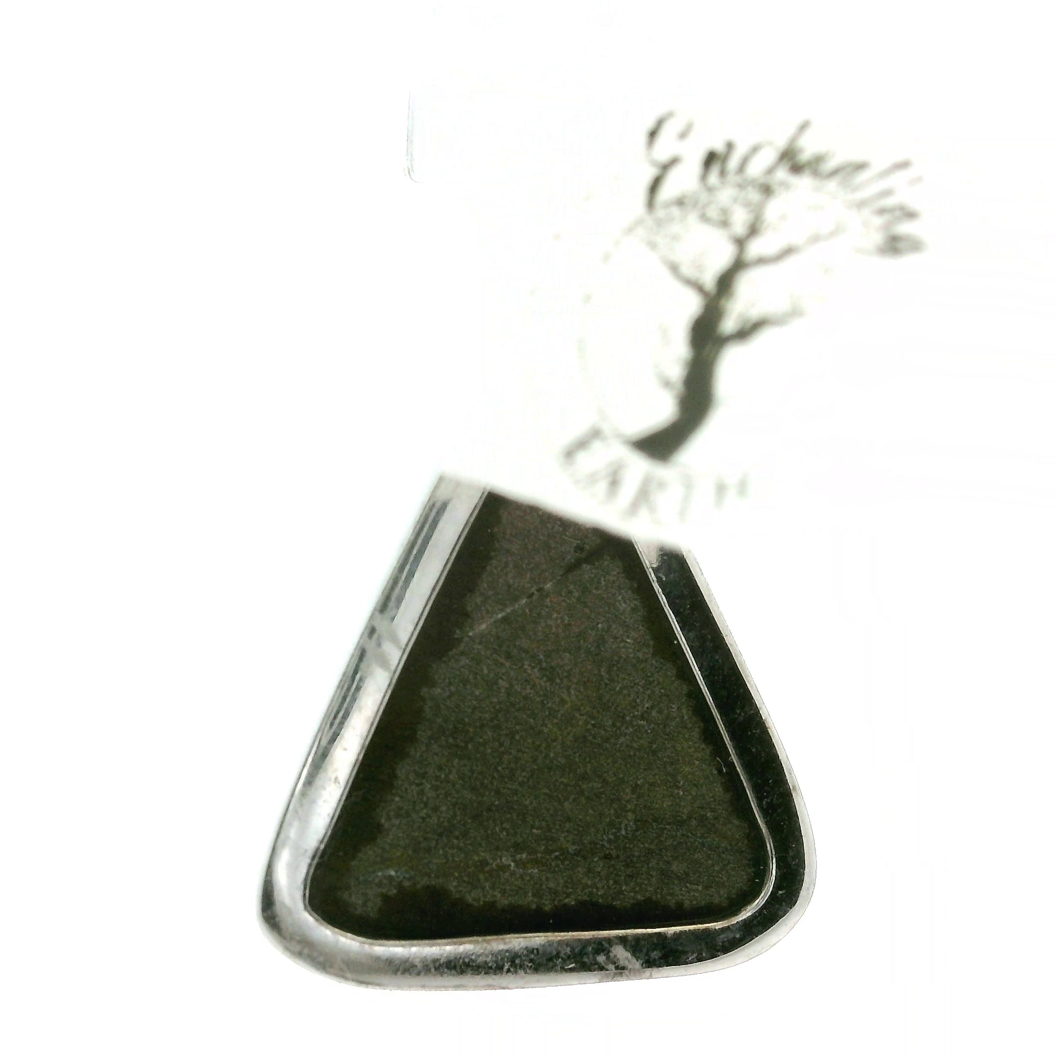 Ammolite Pendant .925 Silver for Transformation and Boosting your Life Force Energy