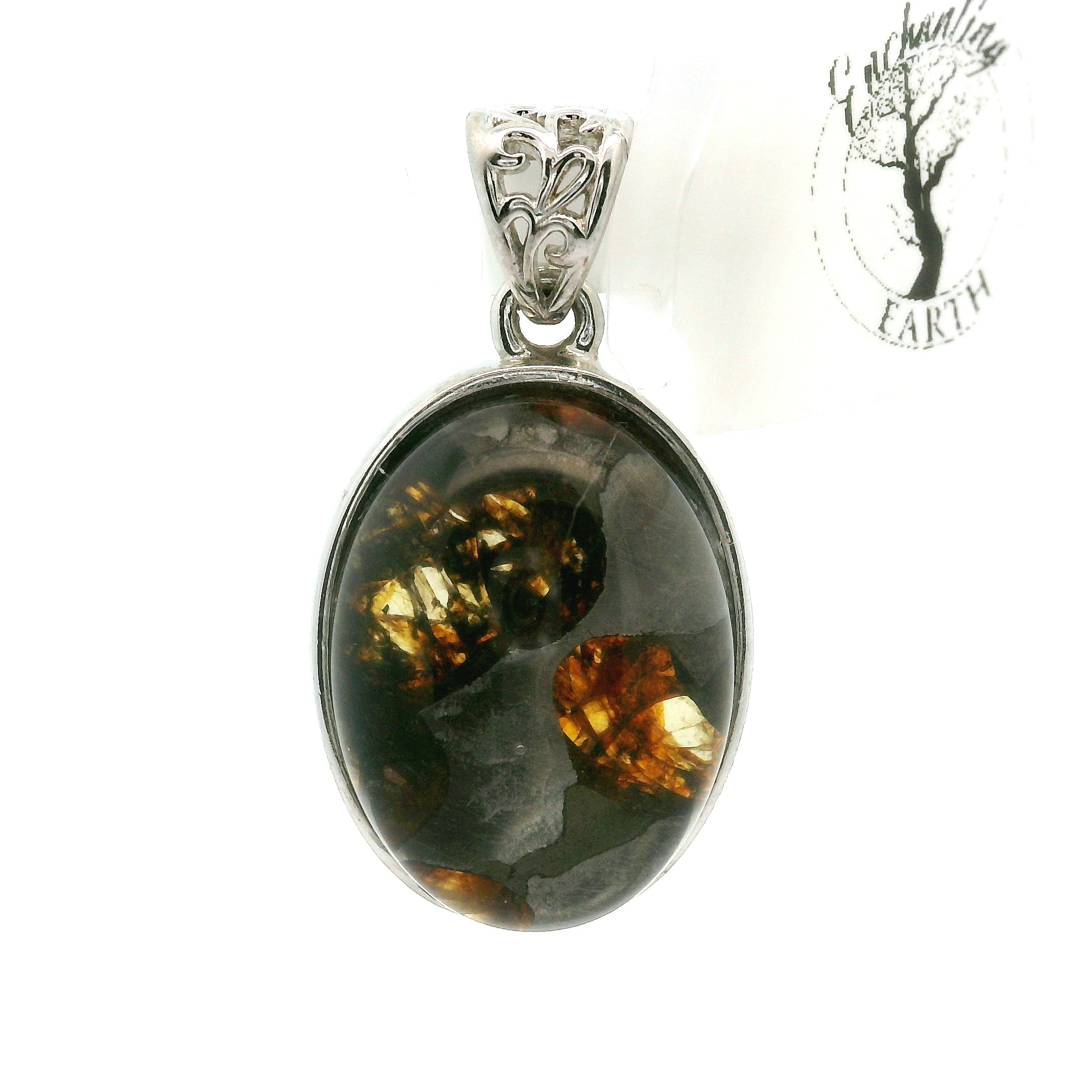 Meteorite Pendant .925 Silver for Manifestation and Spiritual Awakening