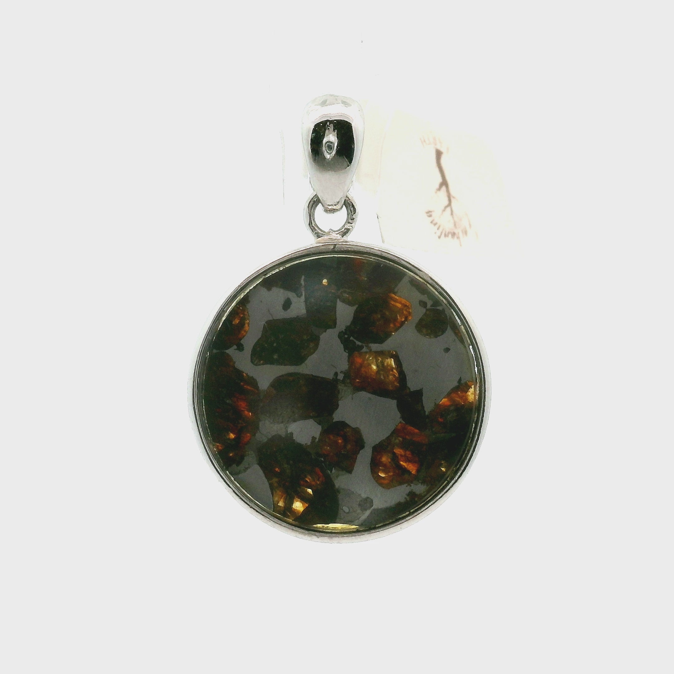 Pallasite Meteorite Pendant .925 Silver for Spiritual Awakening and Multidimensional Awareness