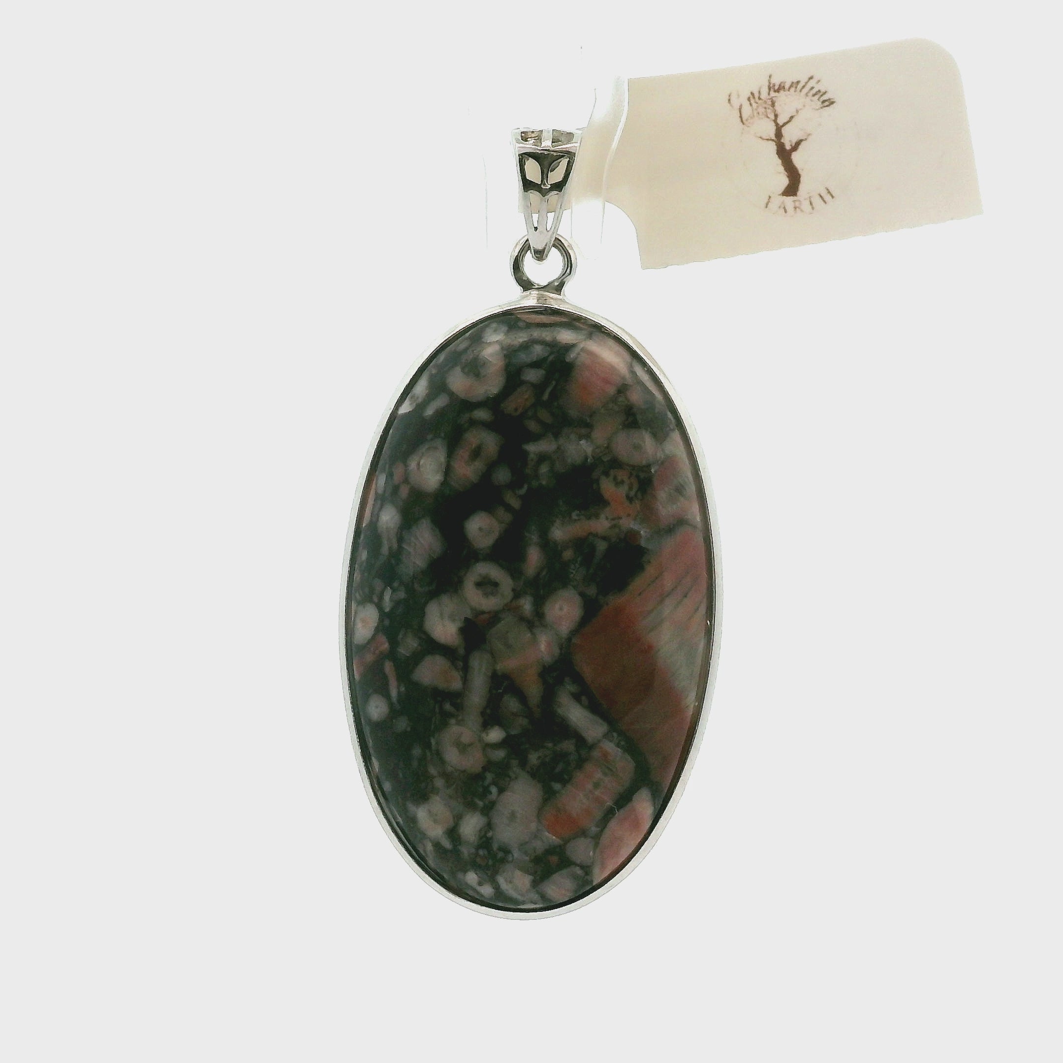 Crinoid Fossil Pendant .925 Silver for Strength, Grounding and Earth Connection