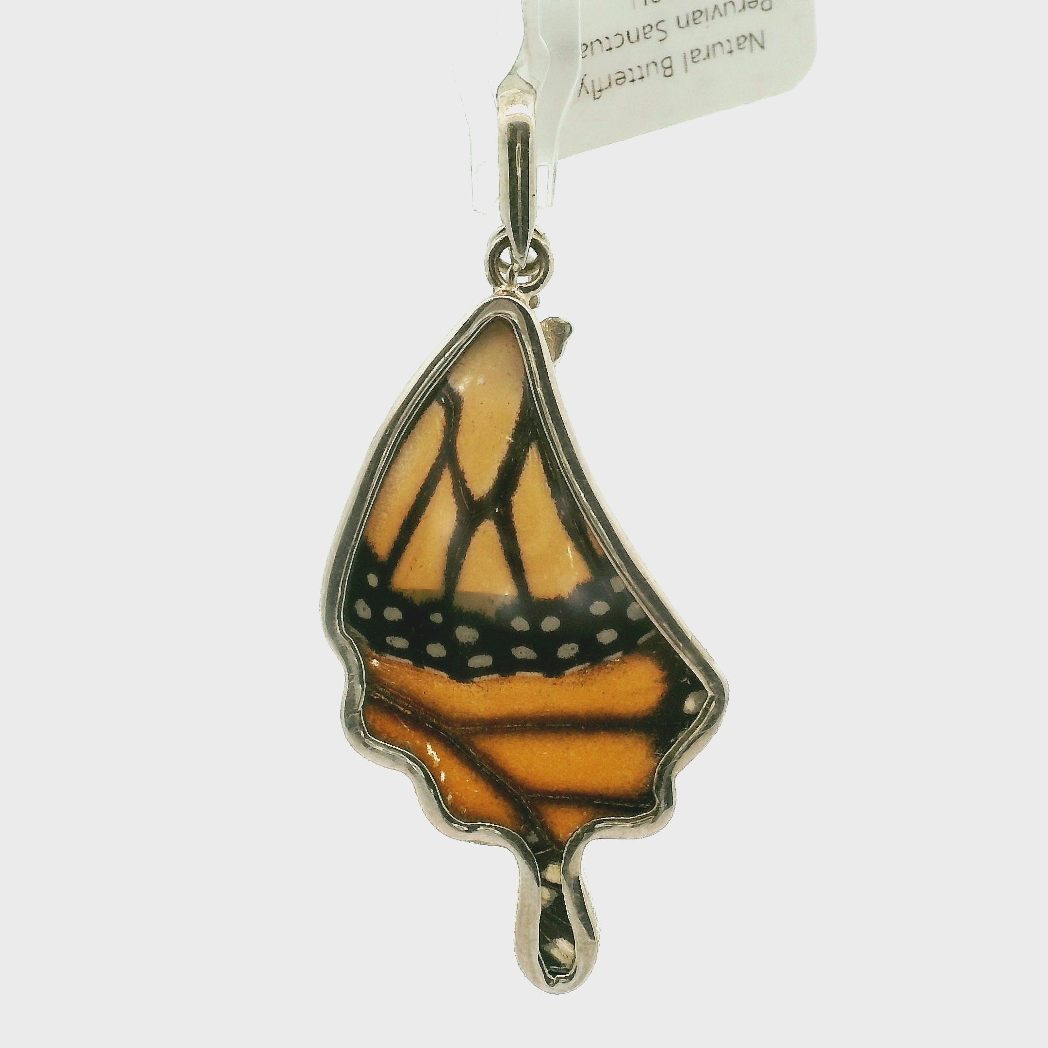 Peruvian Sanctuary Butterfly Wing Pendant .925 Silver for for Freedom and Harmony with Nature