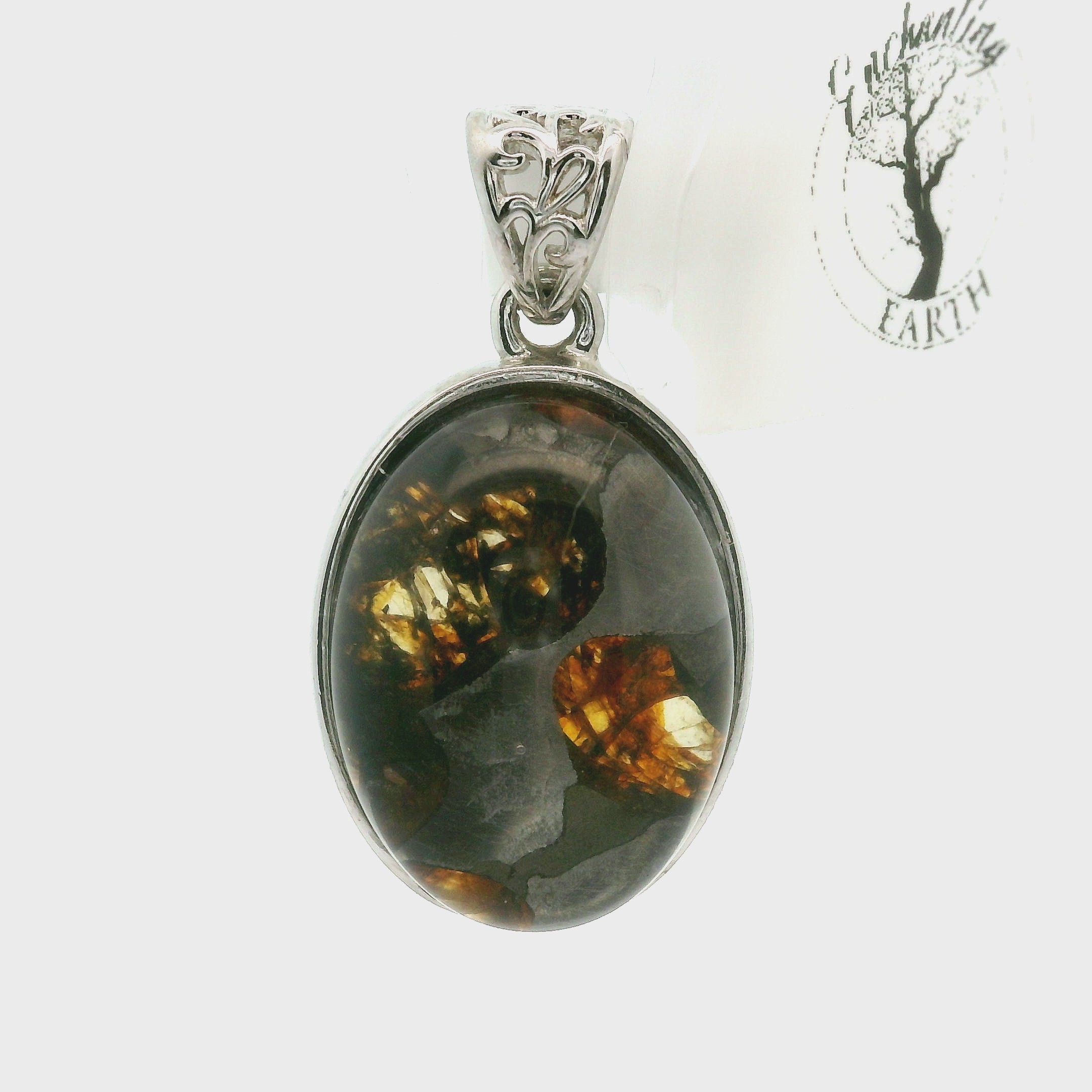 Meteorite Pendant .925 Silver for Manifestation and Spiritual Awakening