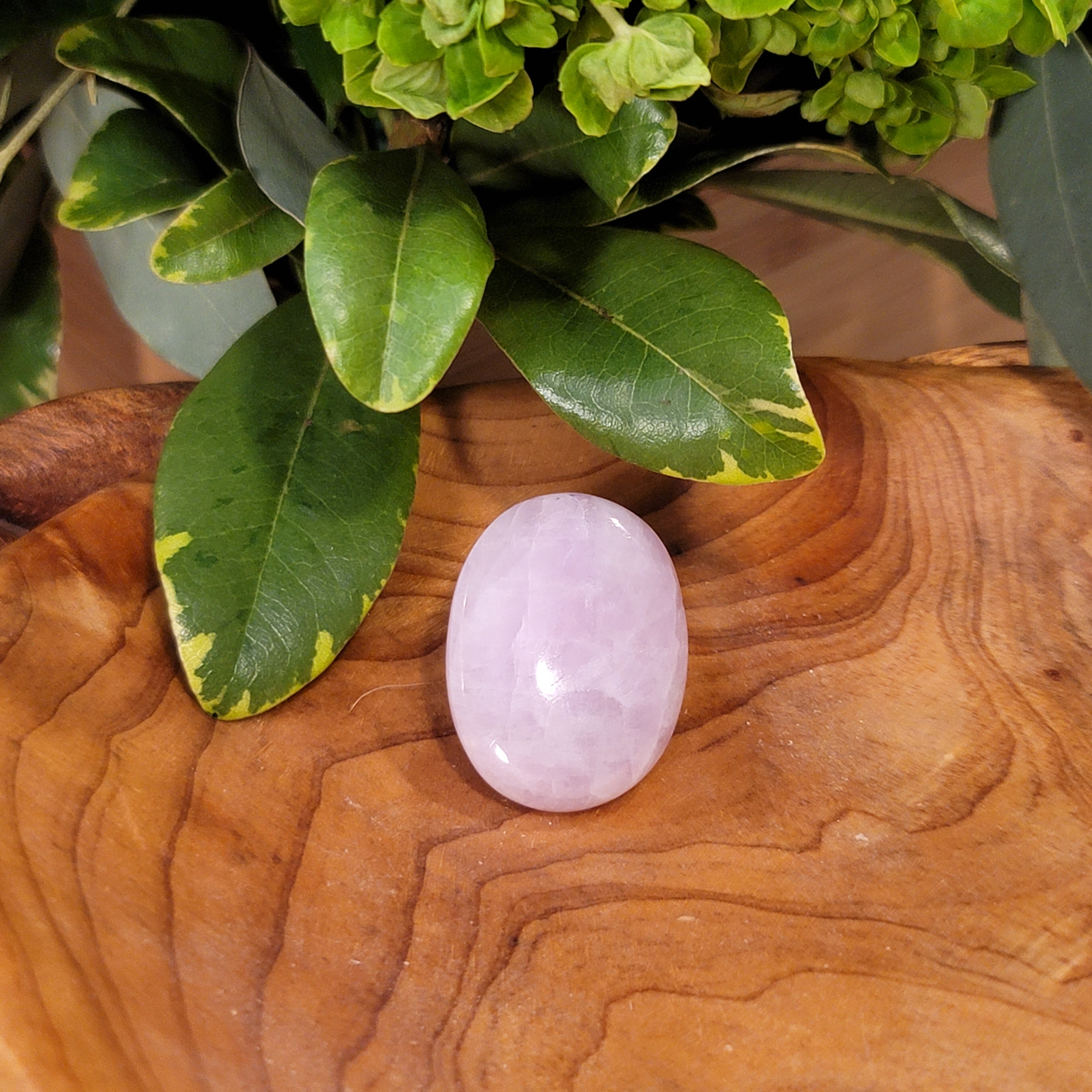 Kunzite Palm for Emotional, Family Healing and Opening Your Heart to Love